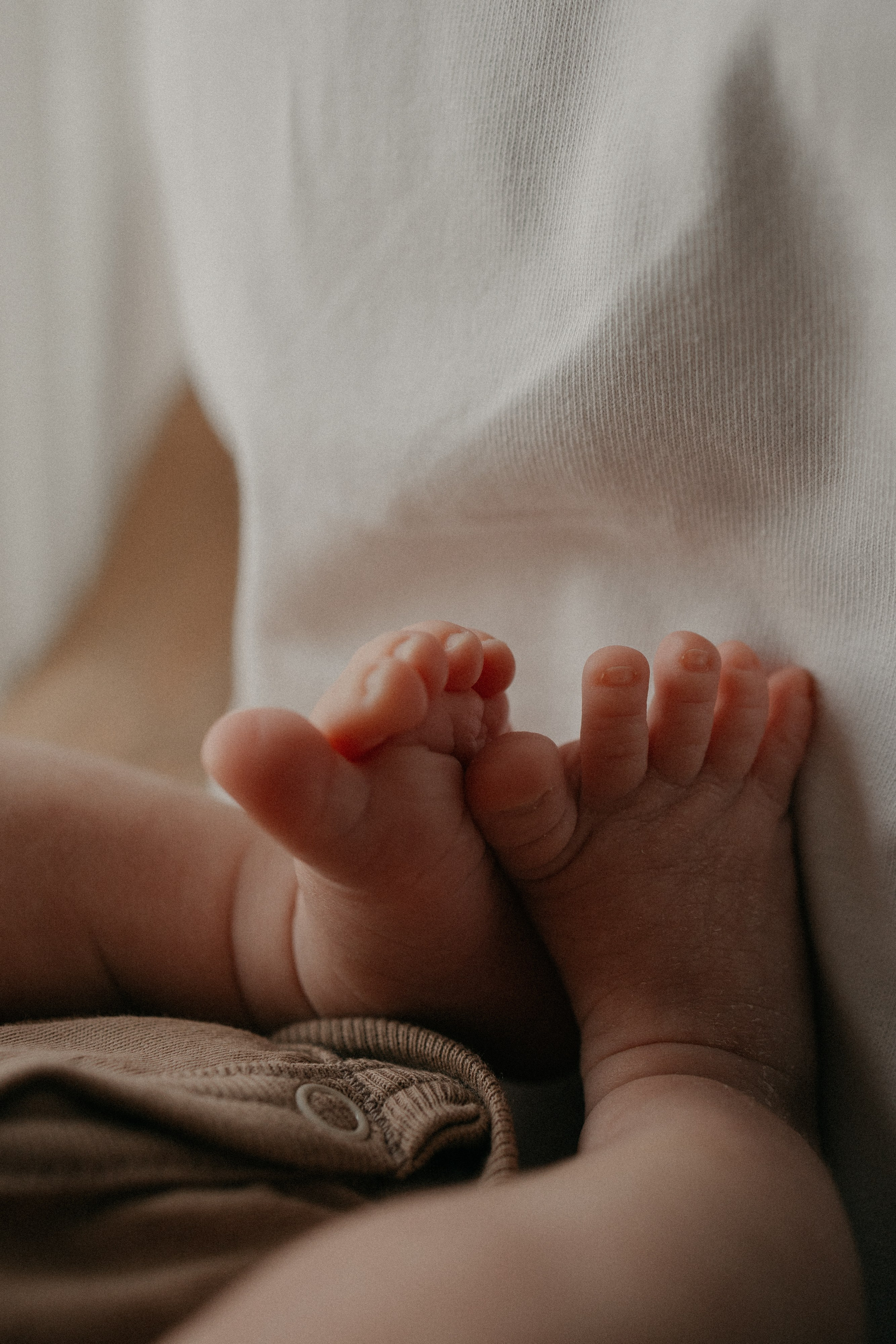 HELD. Baby and family photographer in Berlin Vera S
