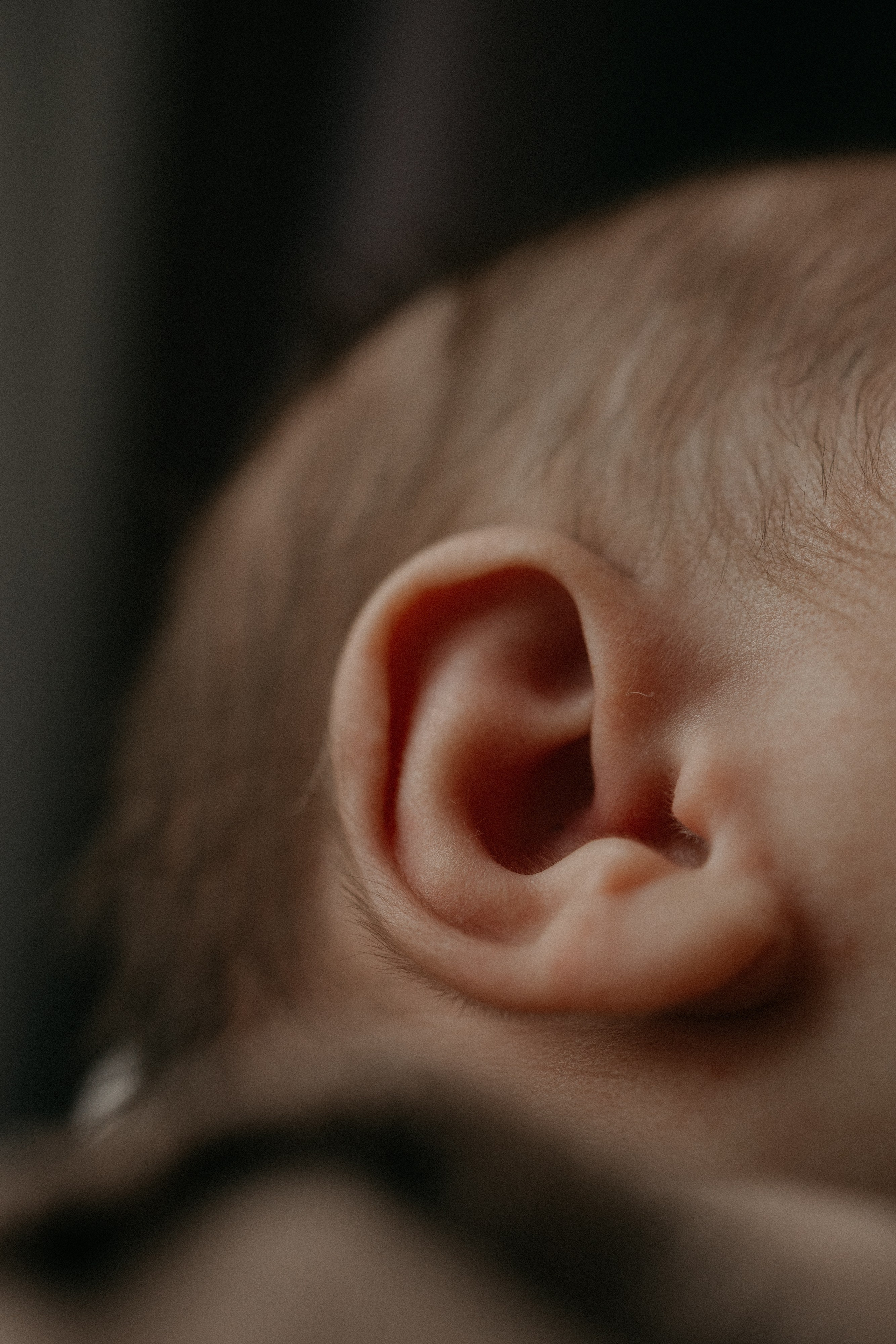HELD. Baby and family photographer in Berlin Vera S
