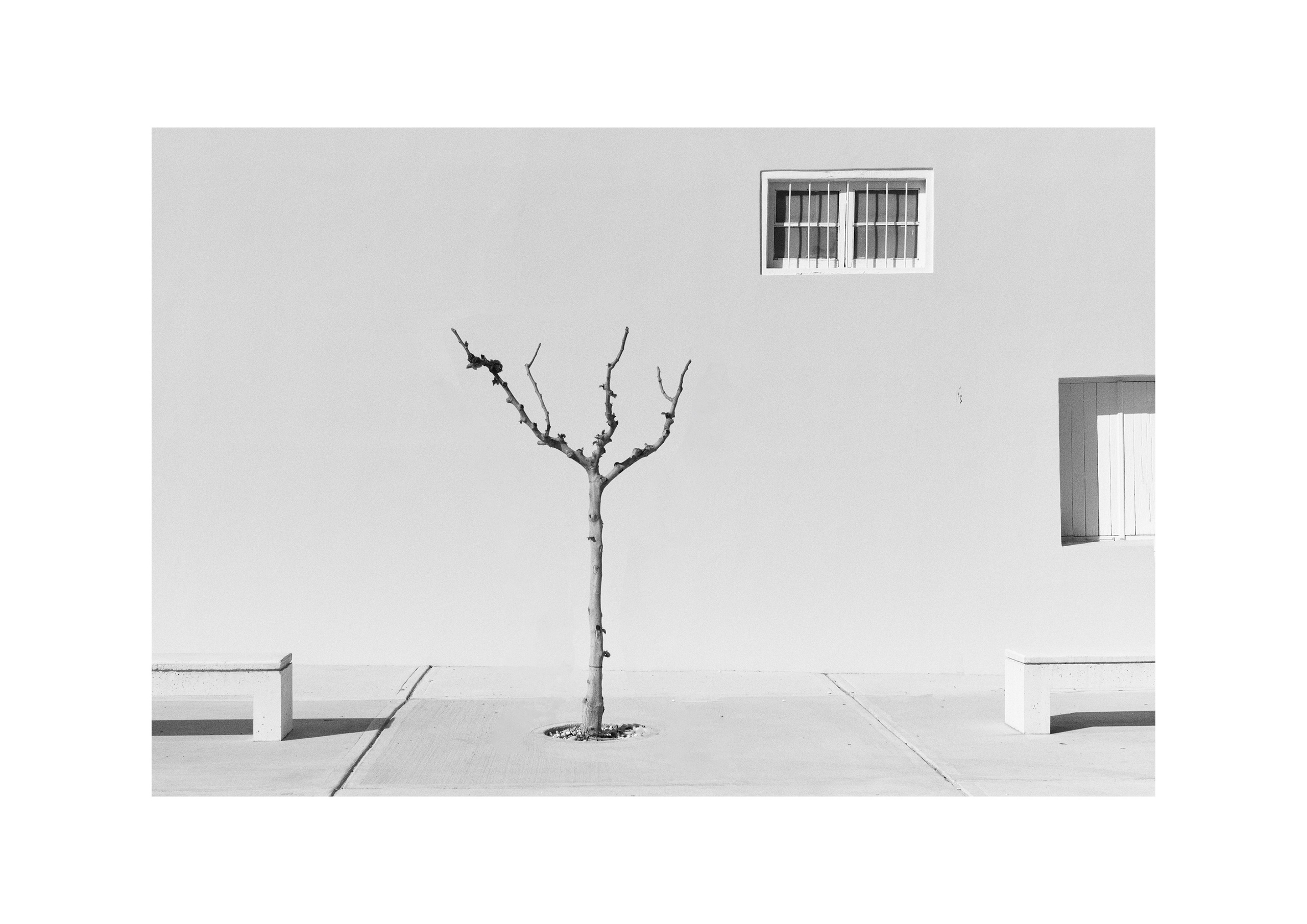 B&W. Cinema that you’ll never see