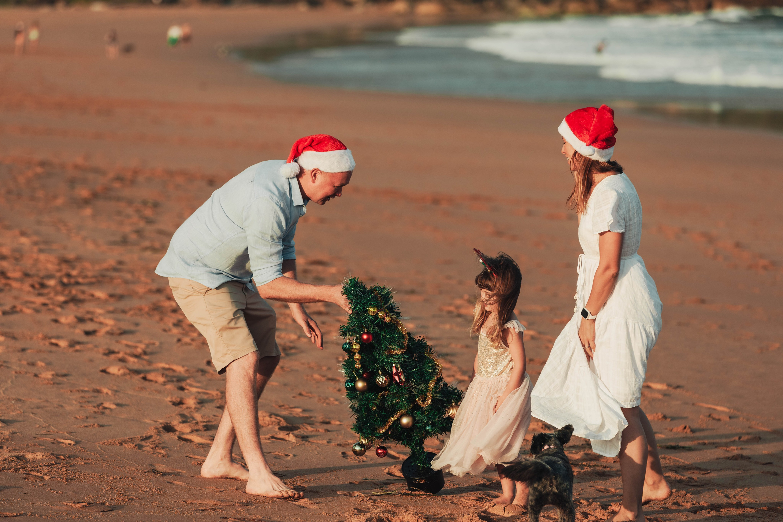 Kat + Andrew + Bella + Roxie. True Story Photography