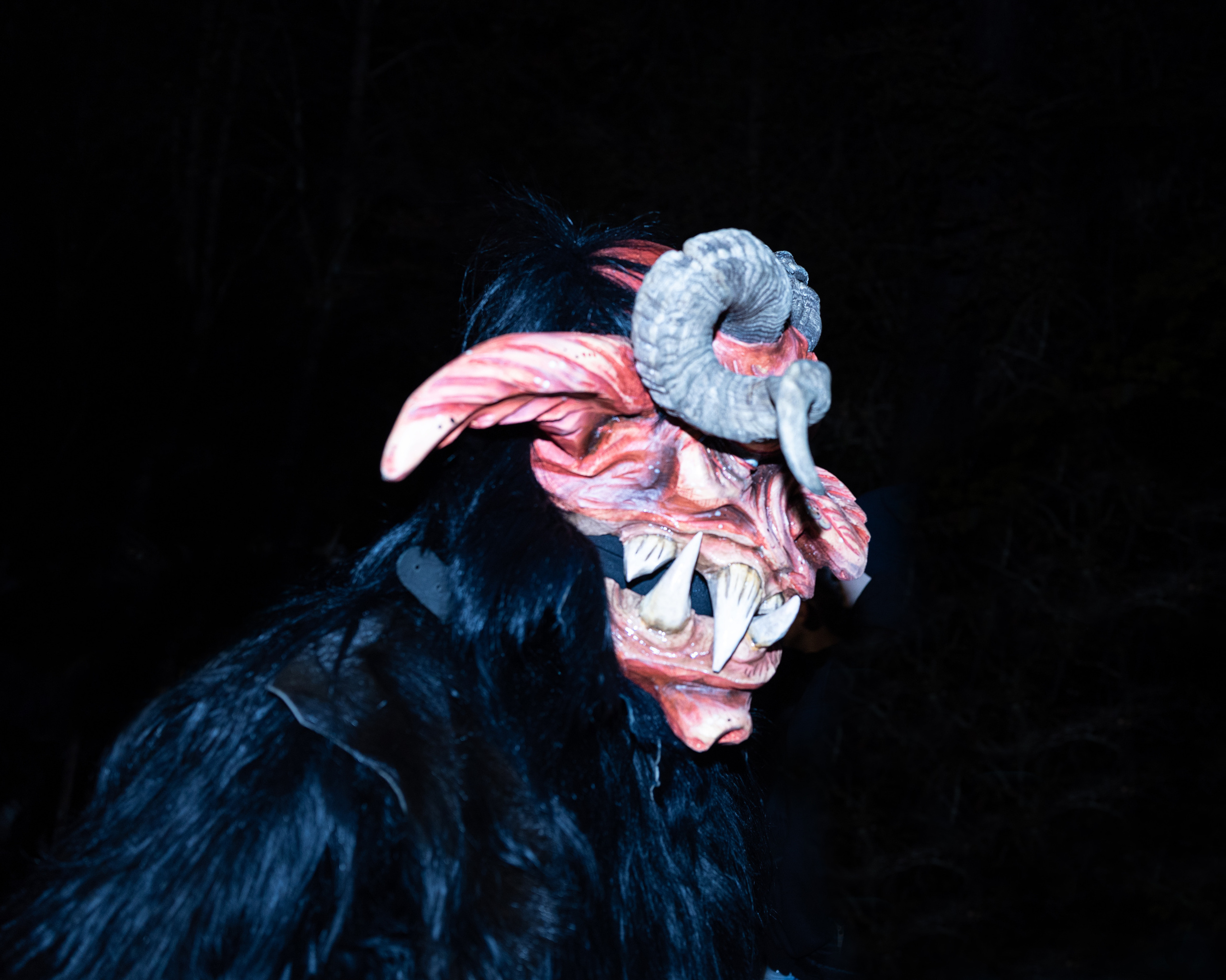 KRAMPUSLAUF 2022 - Aigen, Salzburg. Guzel Kolobova| Fotografin| Salzburg