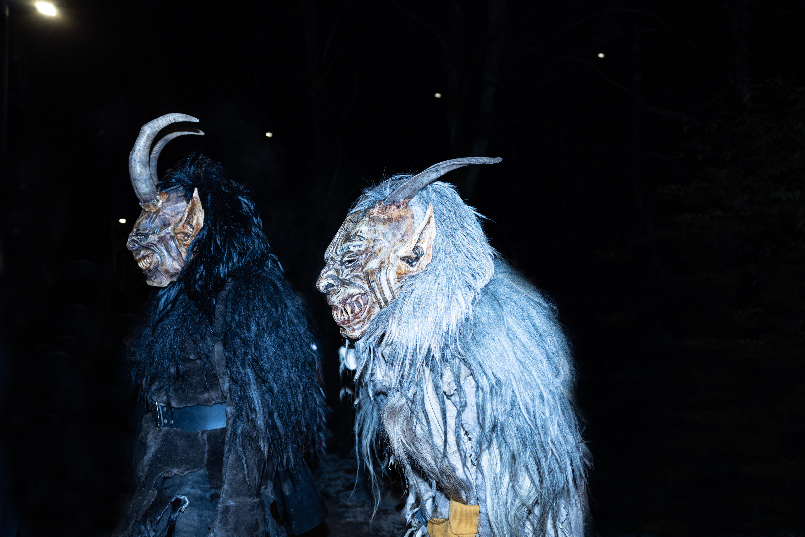 KRAMPUSLAUF 2022 - Aigen, Salzburg. Guzel Kolobova| Fotografin| Salzburg