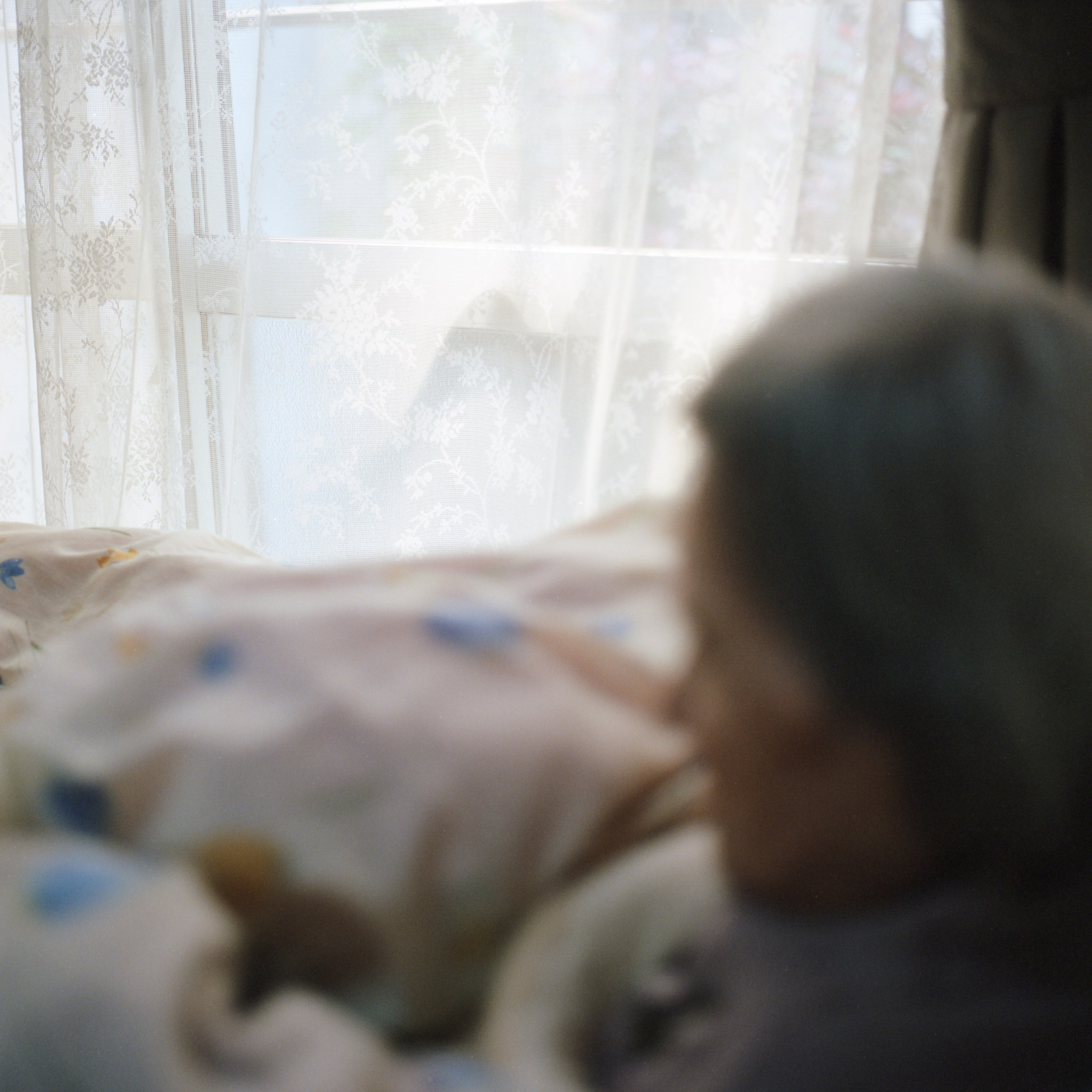 祖母とのヴァナキュラー. MT