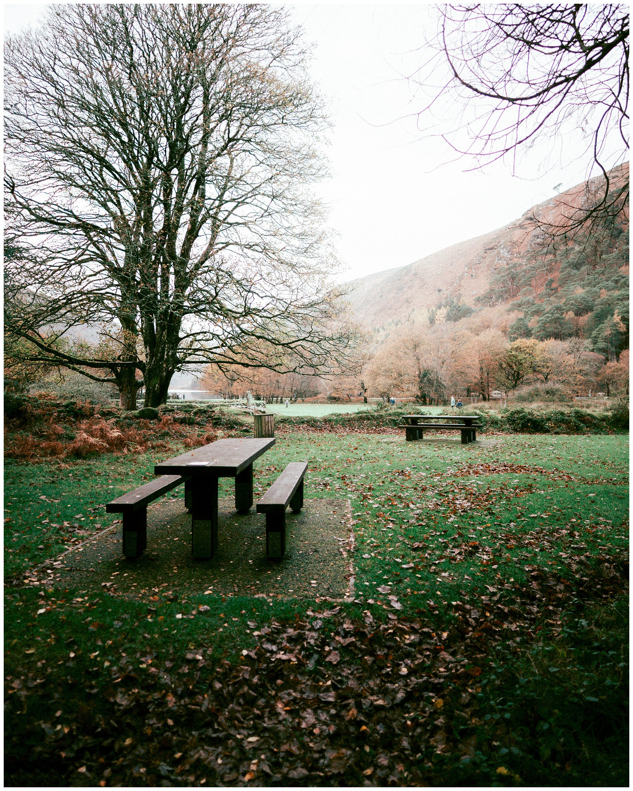 IRELAND. Inna Mendelson — Photographer