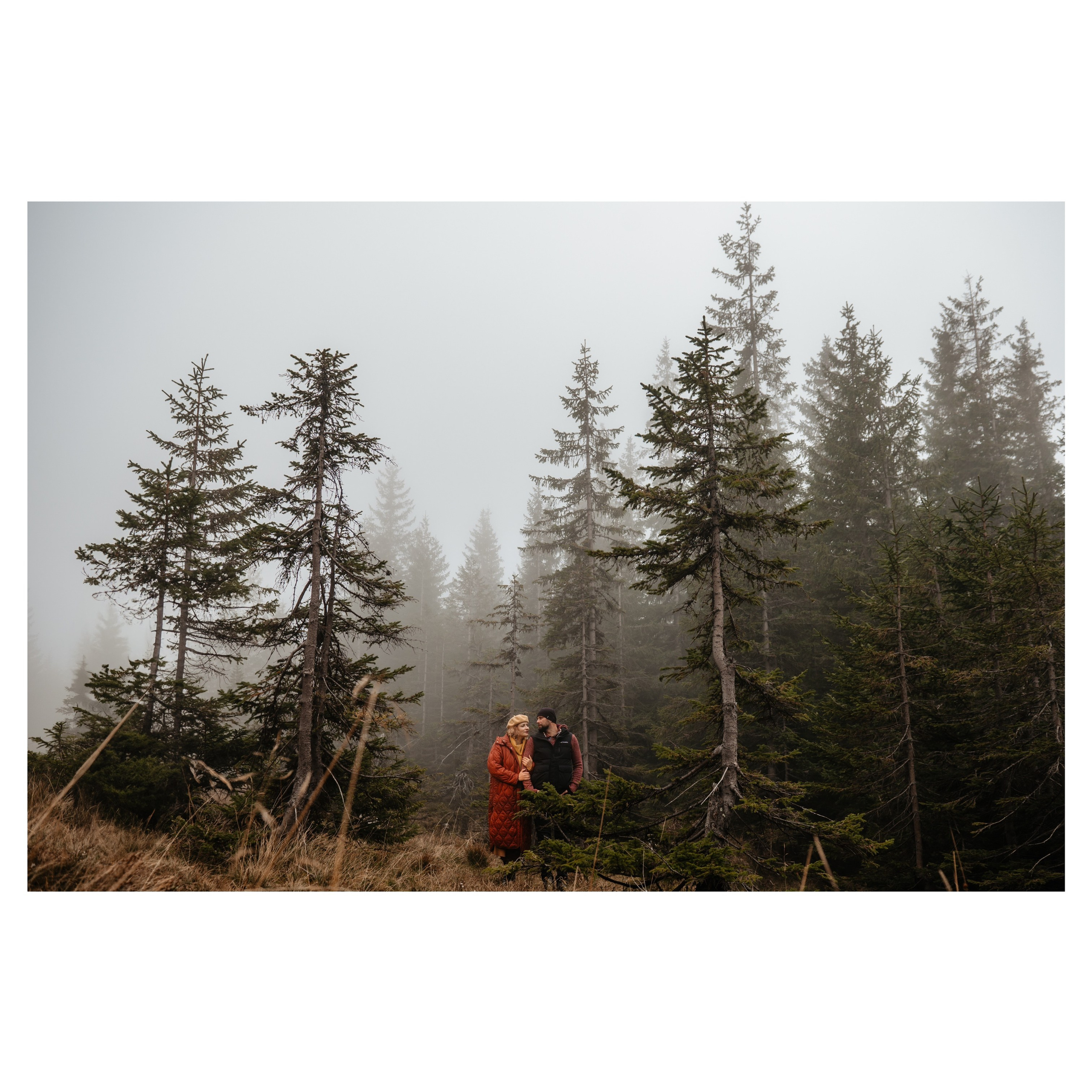 Workshop. Ionut Birceanu