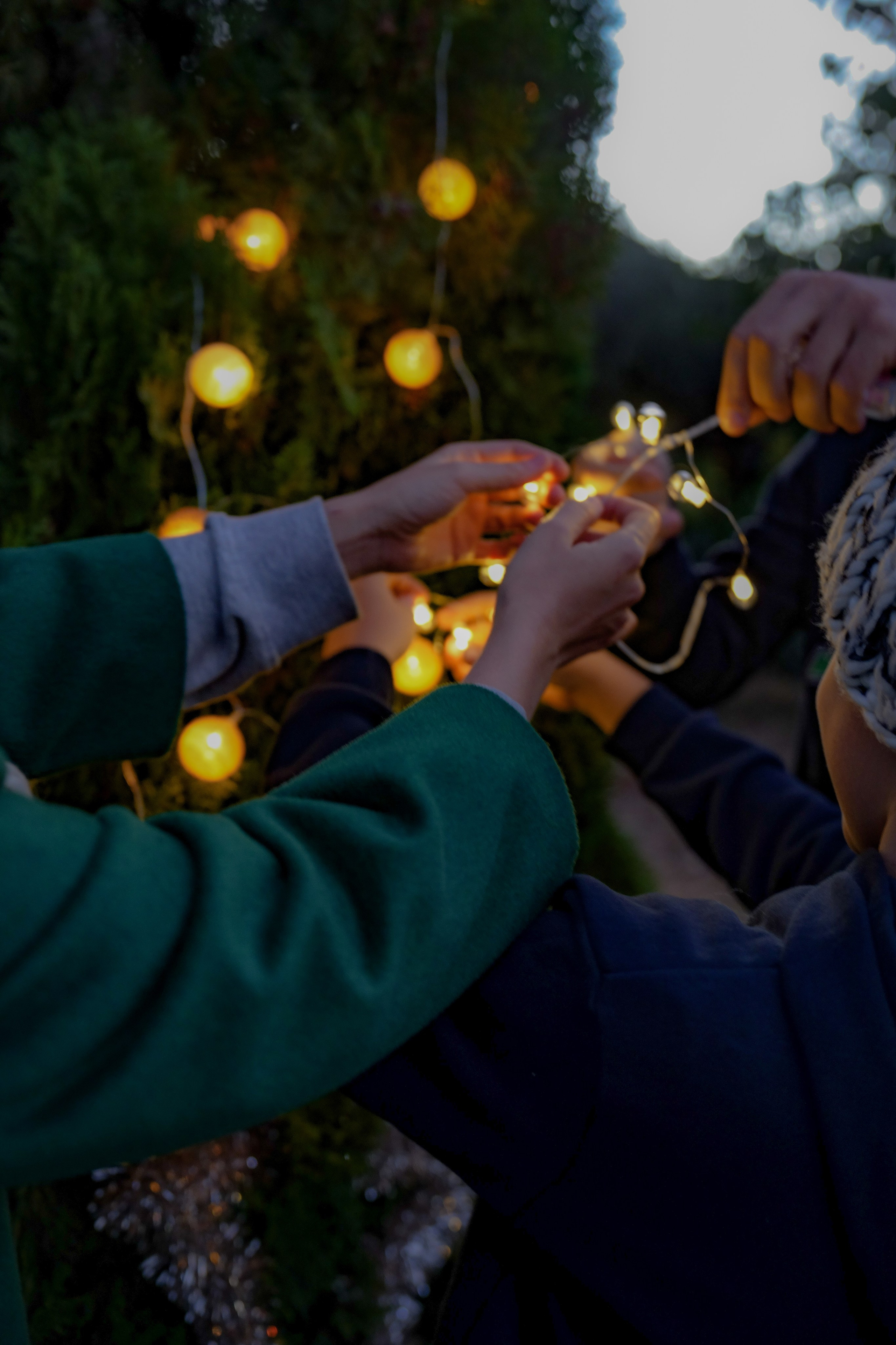 INVIERNO. Fotógrafa Olena Petryk. Realizo sesiones de fotos en Puerto de Sagunto