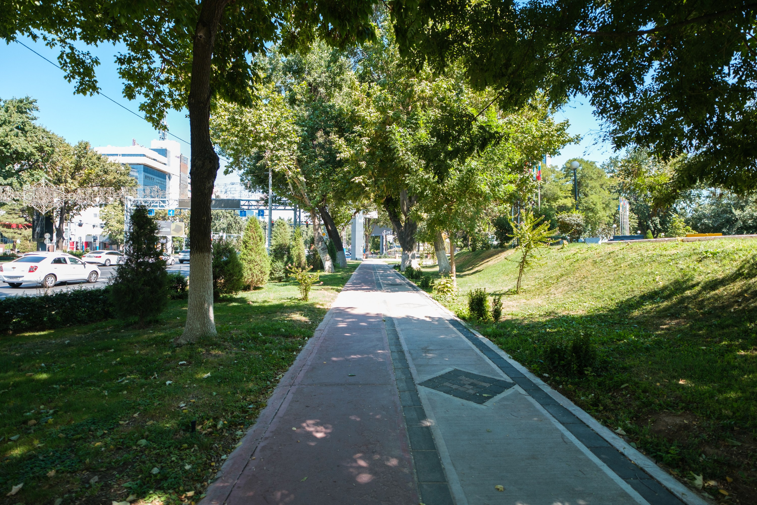 Sigma 12 mm F/1.4 DC DN Contemporary. Фотограф Григорий Кравец