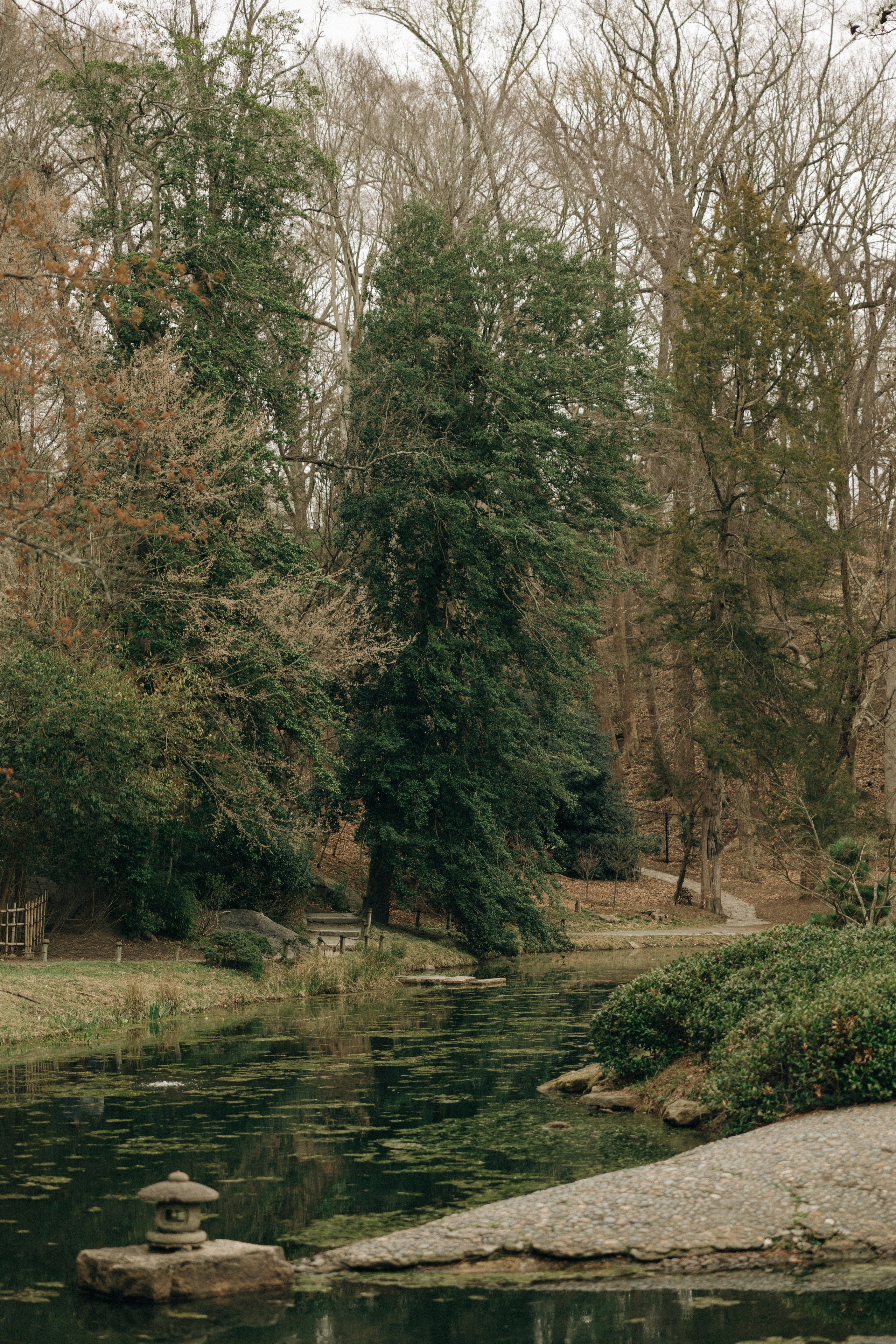 Tassia&Lilian Elopement. Sara Eulalia | Virginia Photographer