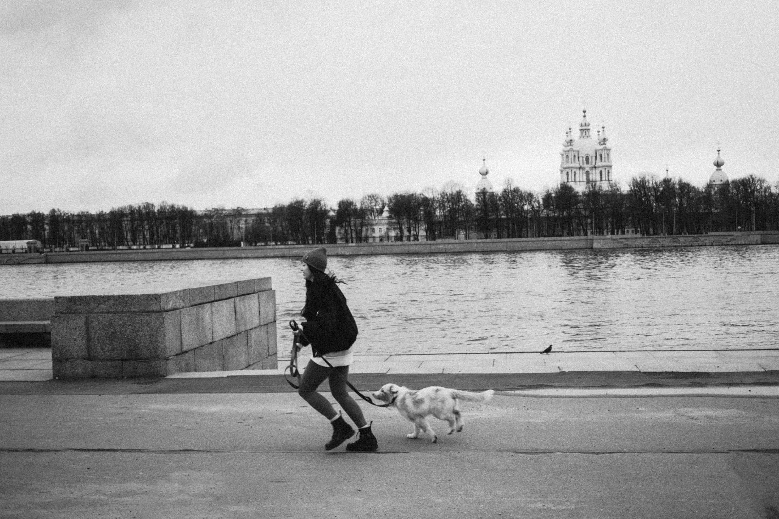 Anna&Cosmo. Pagina principale