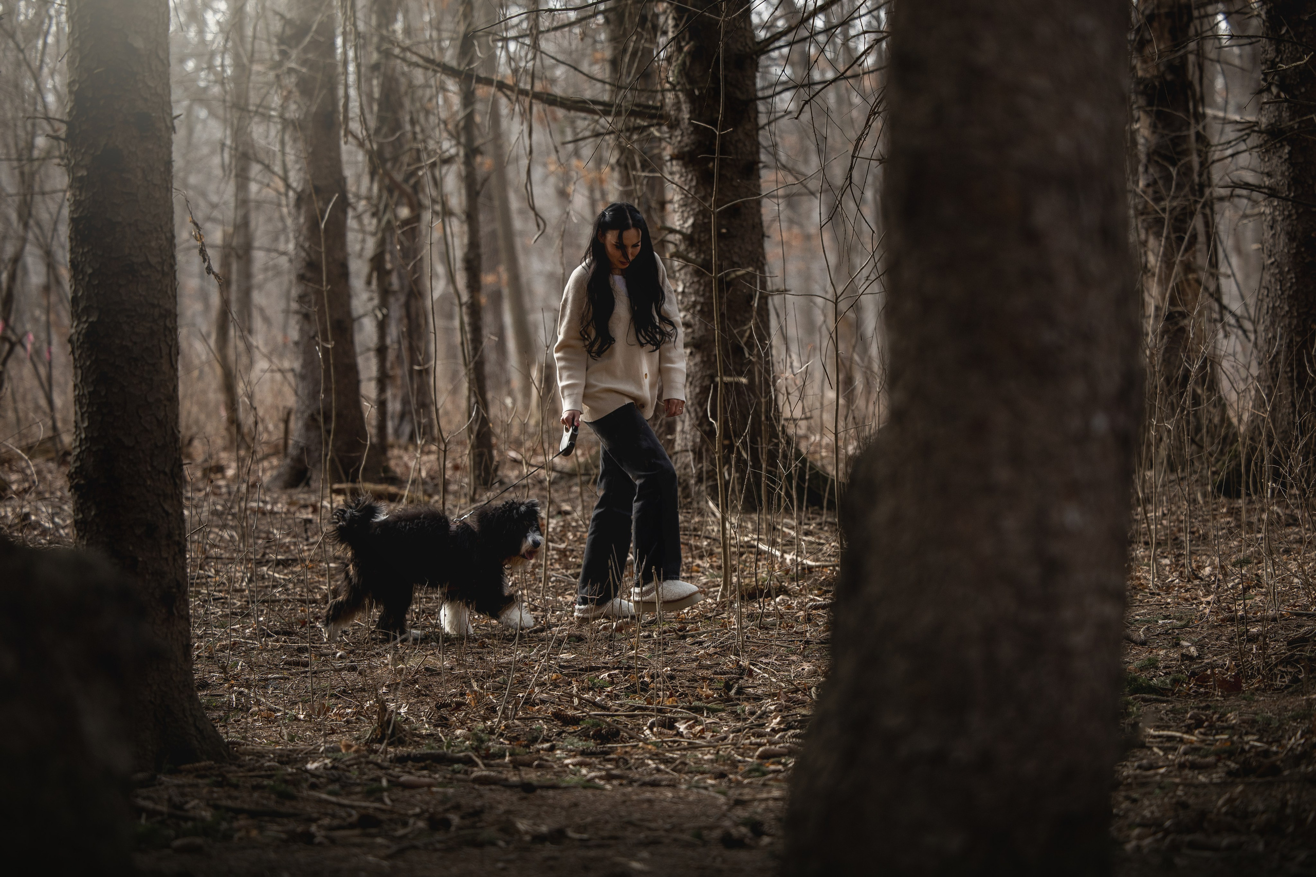 Rolex & Kate. Pet Photographer Viktoriya Aleshenko
