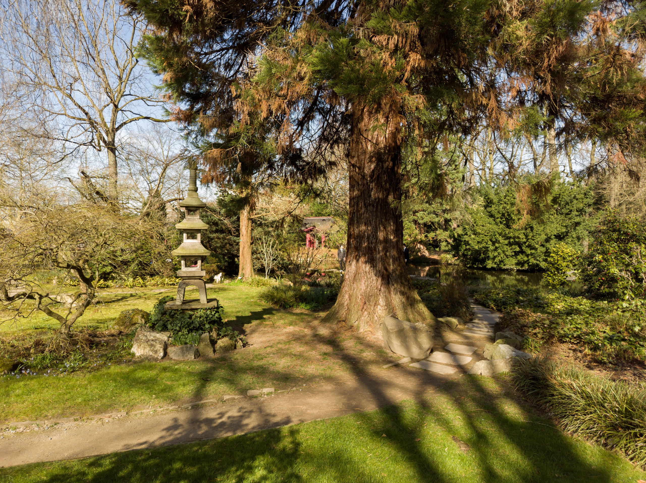 Cologne (Germany) Leverkusen. Fotograf in Köln, Bonn, Düsseldorf, Krefeld