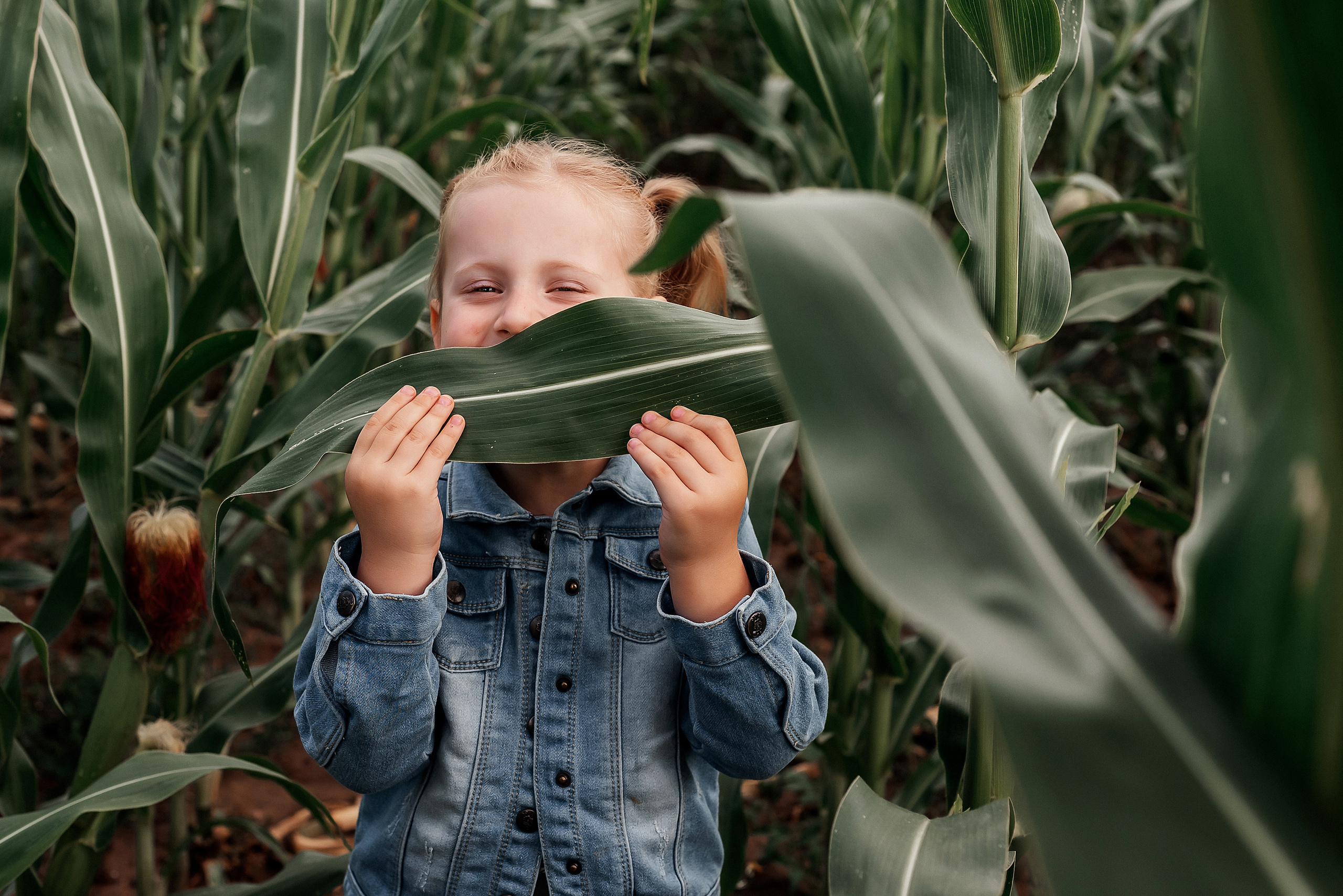 Арианна. Фотосессия в кукурузном поле. Ваш фотограф в Латгалии — Александра Юхневича!
