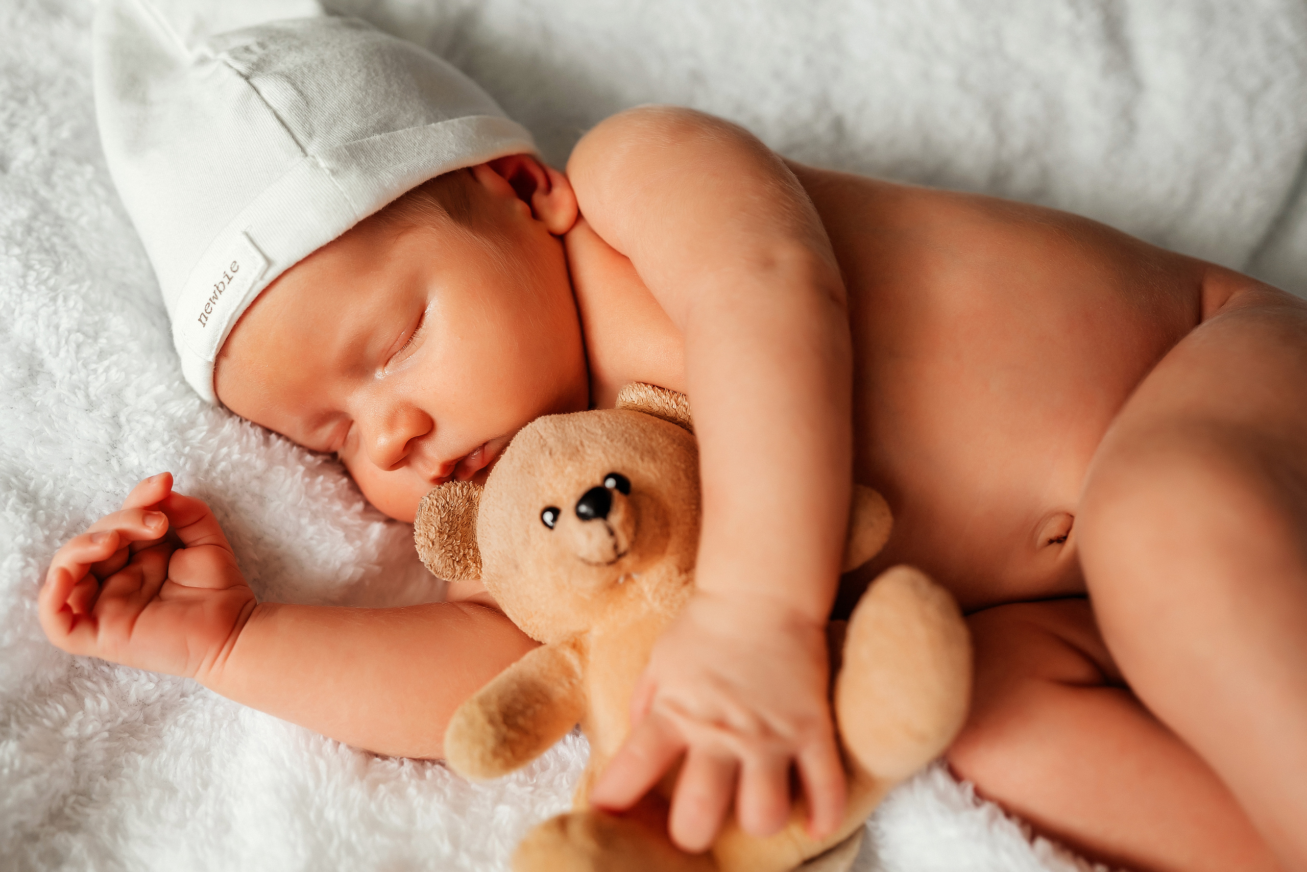 Медвежонок. Ваш фотограф в Латгалии — Александра Юхневича!