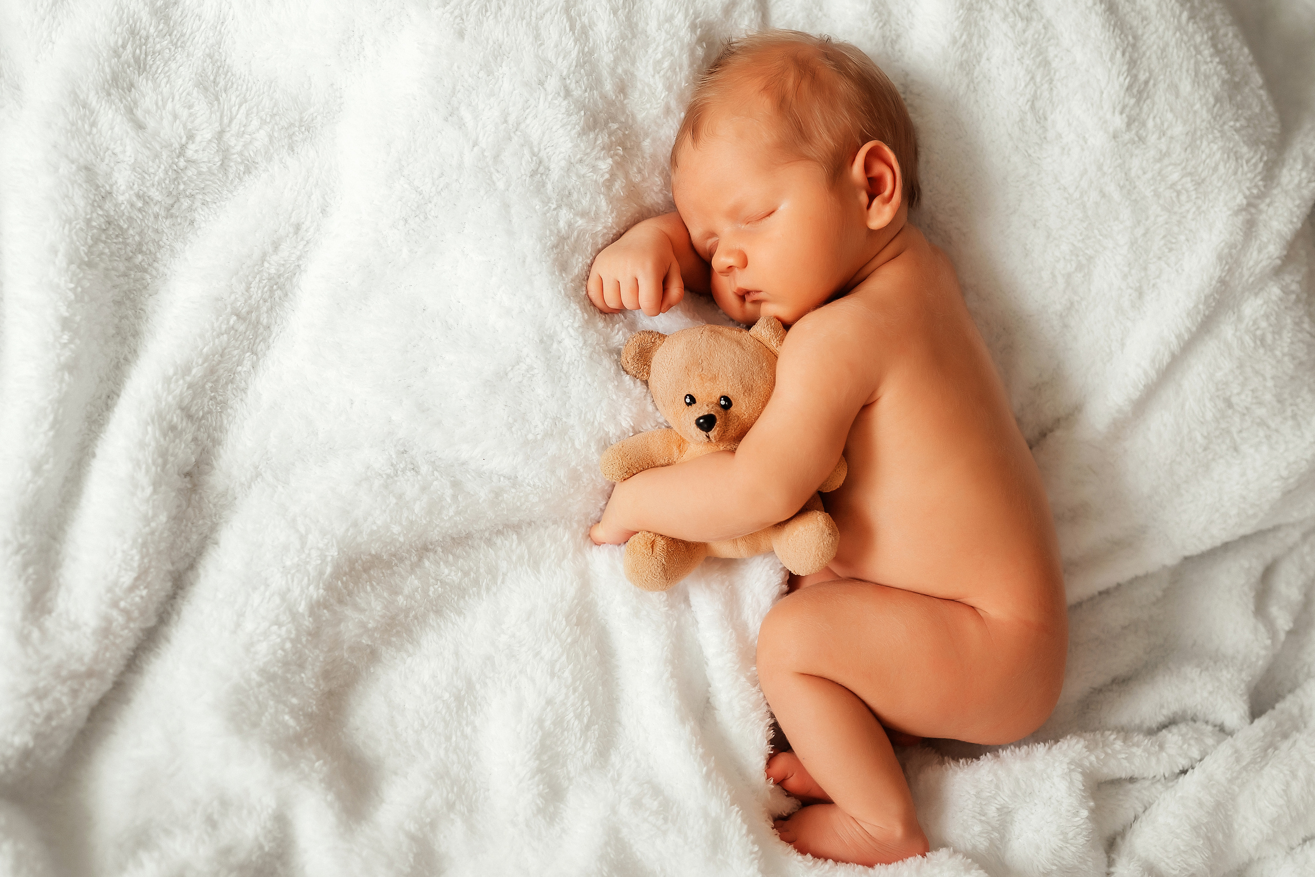 Медвежонок. Ваш фотограф в Латгалии — Александра Юхневича!