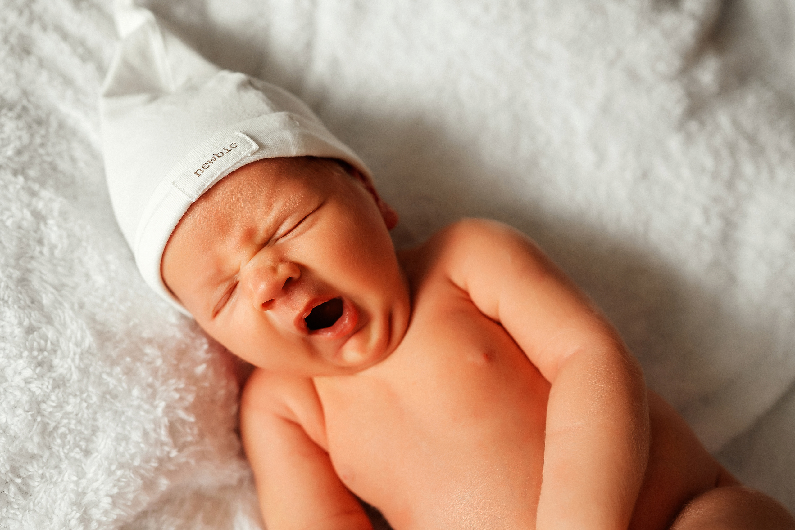 Медвежонок. Ваш фотограф в Латгалии — Александра Юхневича!