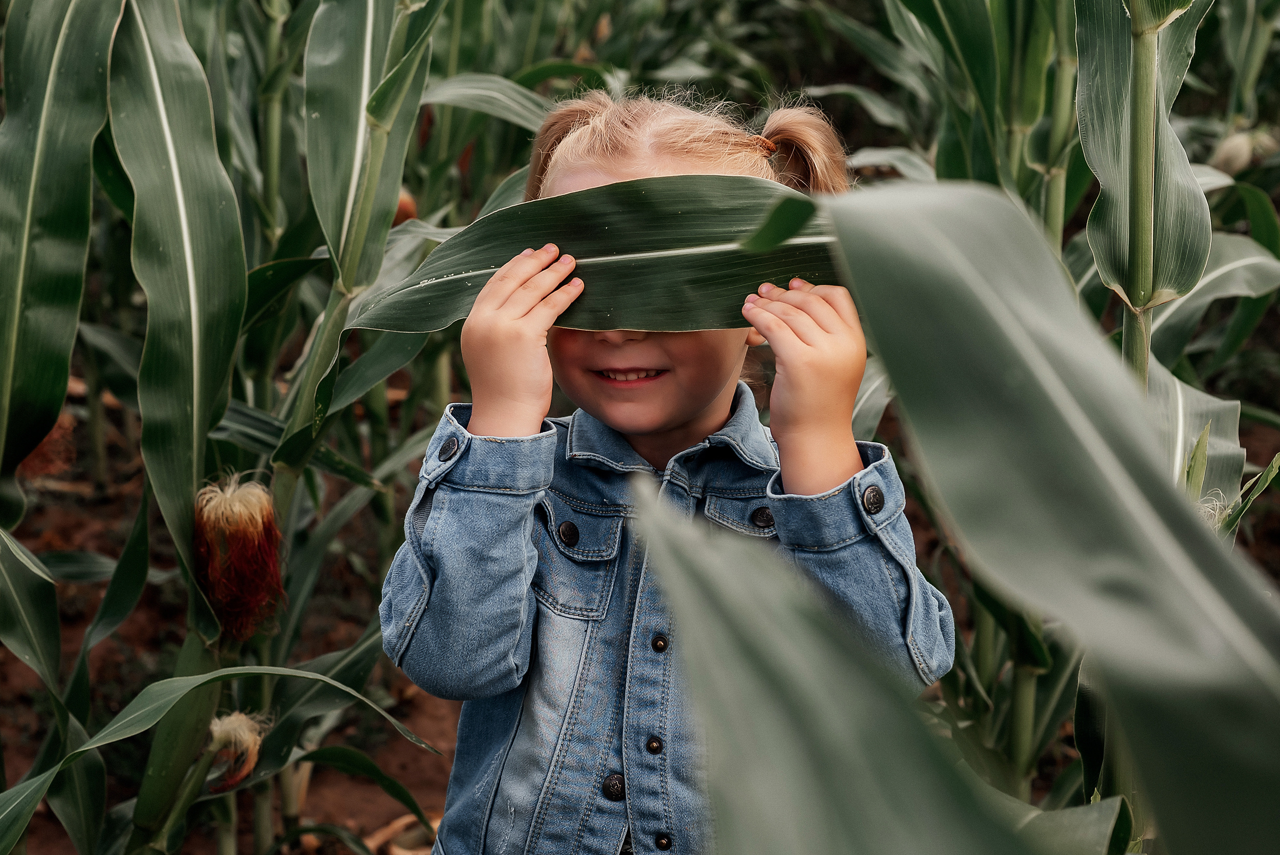 Арианна. Фотосессия в кукурузном поле. Ваш фотограф в Латгалии — Александра Юхневича!