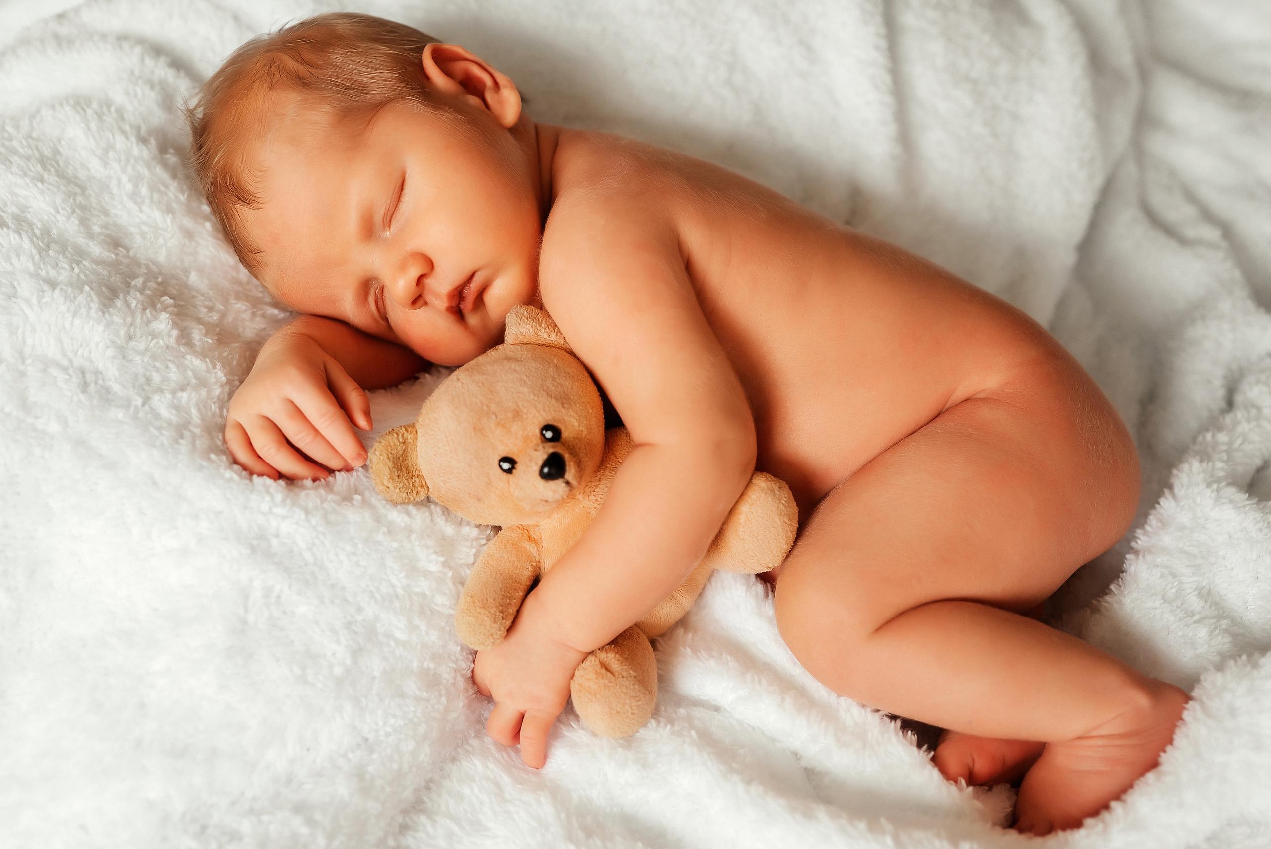 Медвежонок. Ваш фотограф в Латгалии — Александра Юхневича!