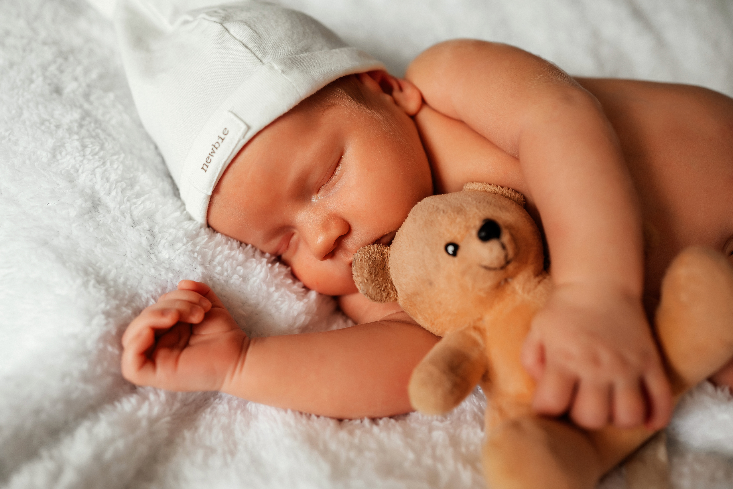 Медвежонок. Ваш фотограф в Латгалии — Александра Юхневича!