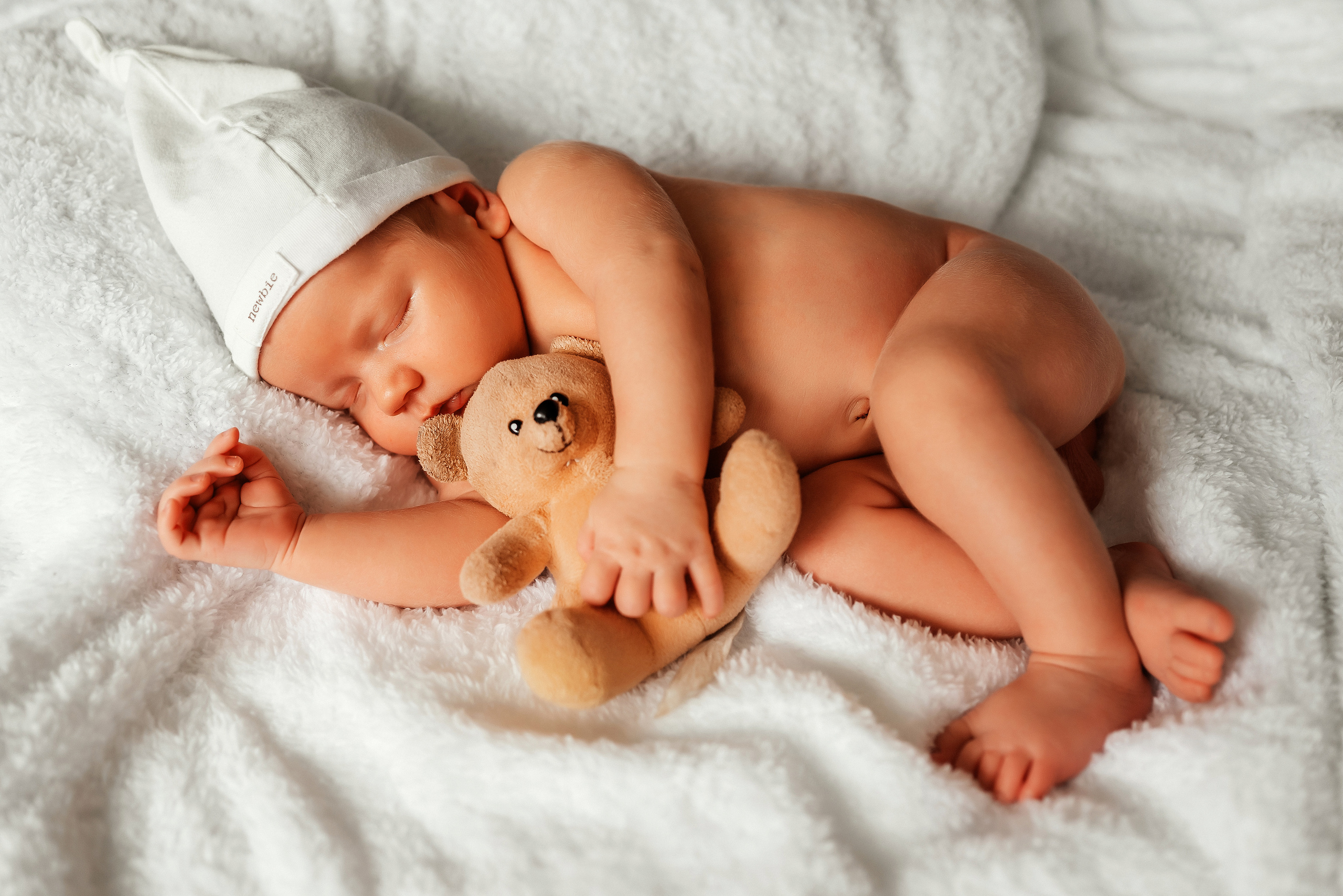 Медвежонок. Ваш фотограф в Латгалии — Александра Юхневича!