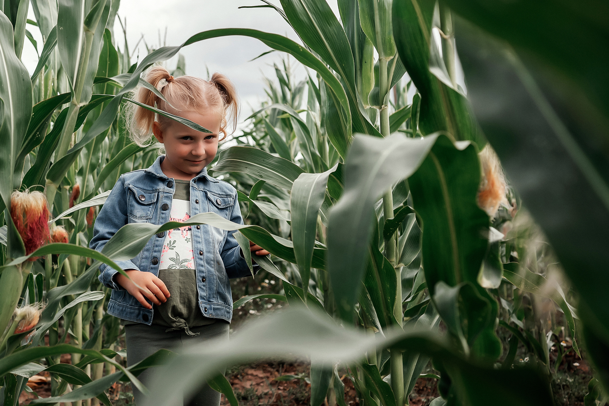 Арианна. Фотосессия в кукурузном поле. Ваш фотограф в Латгалии — Александра Юхневича!