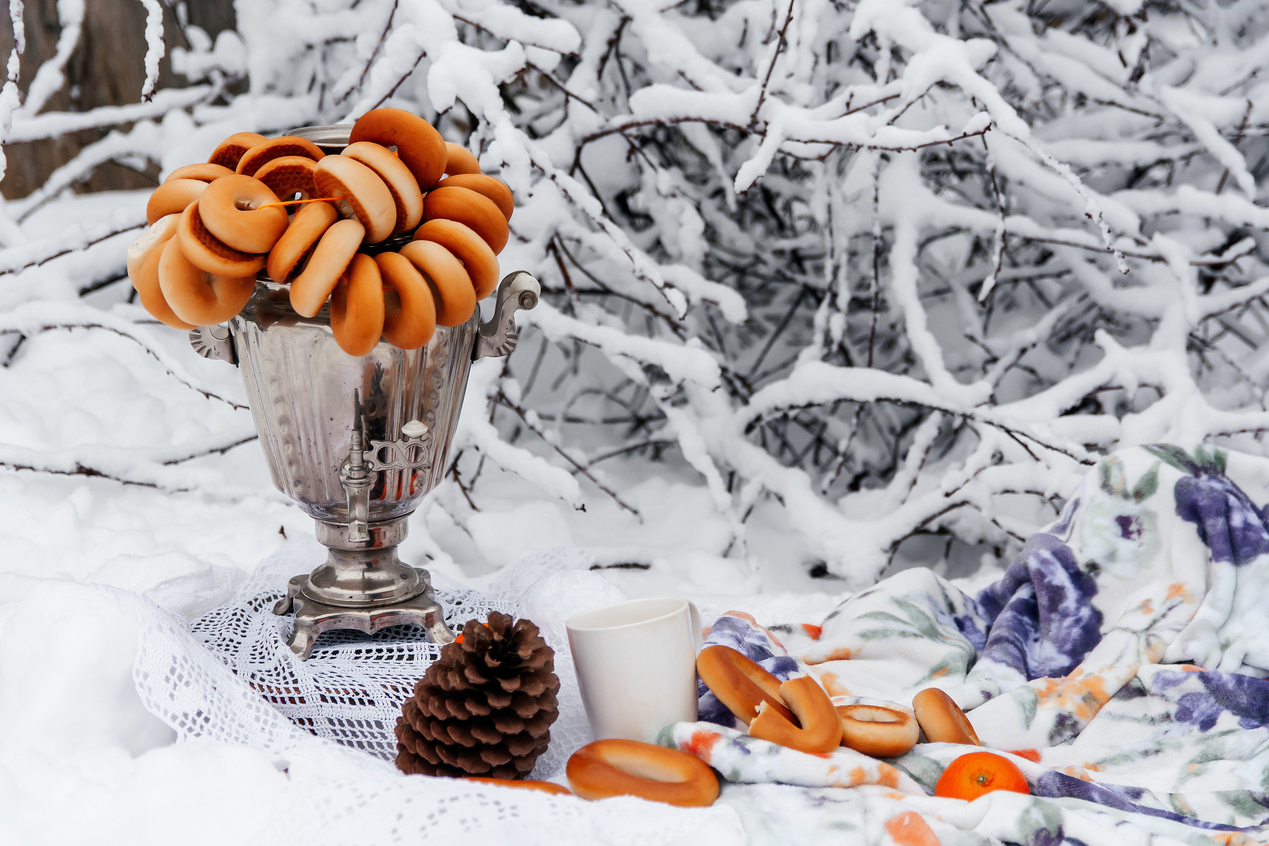 Арианна. Зима. Ваш фотограф в Латгалии — Александра Юхневича!