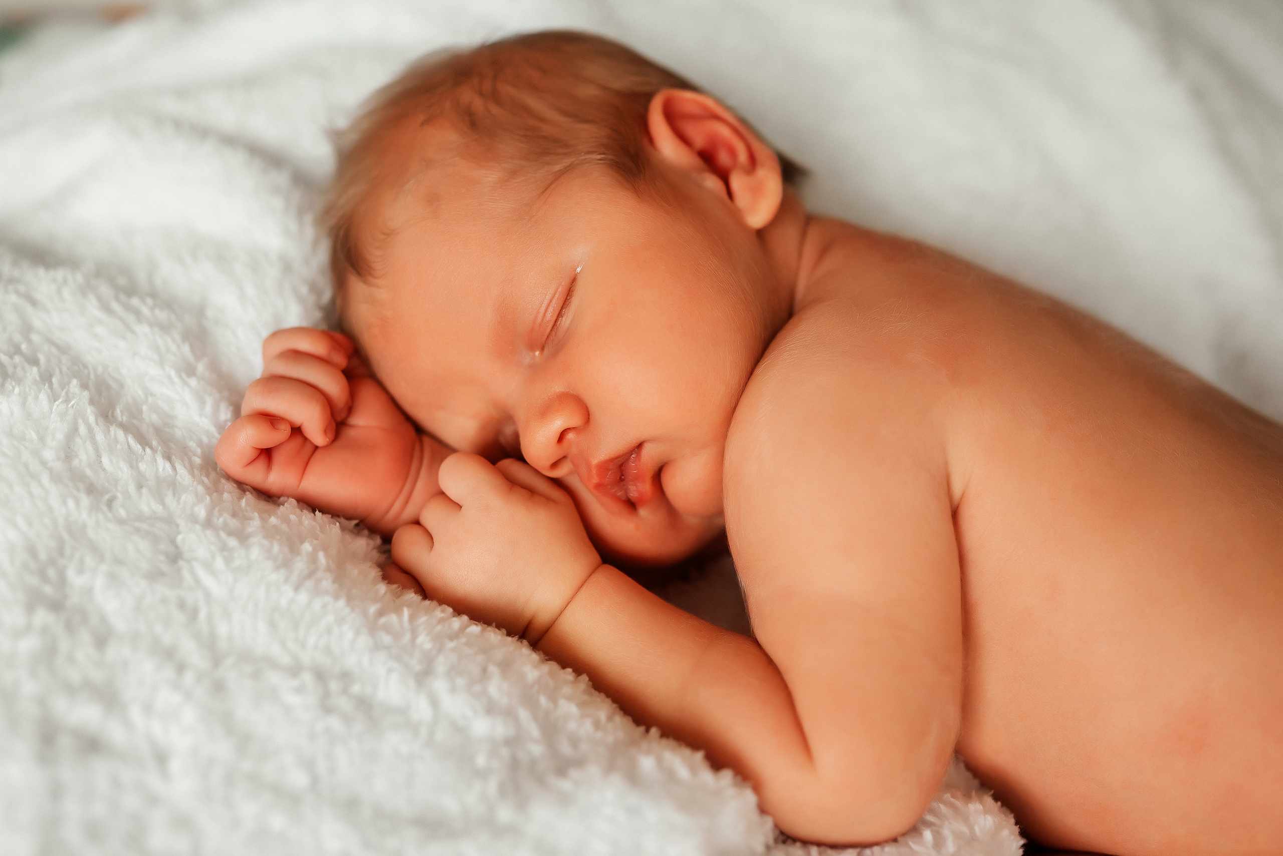 Медвежонок. Ваш фотограф в Латгалии — Александра Юхневича!