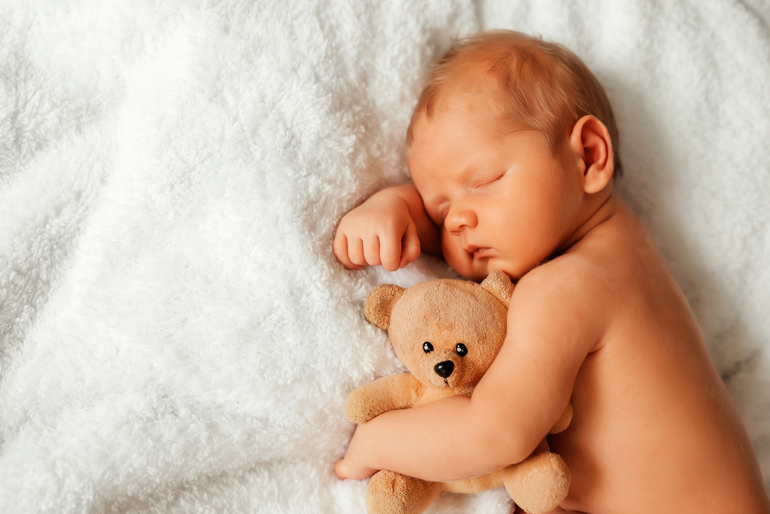 Медвежонок. Ваш фотограф в Латгалии — Александра Юхневича!