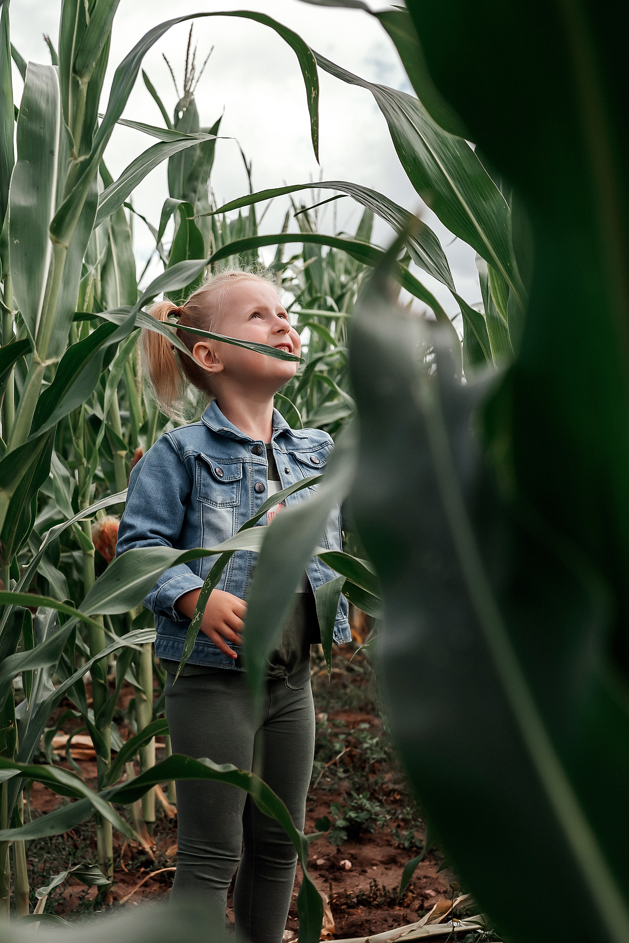 Арианна. Фотосессия в кукурузном поле. Ваш фотограф в Латгалии — Александра Юхневича!