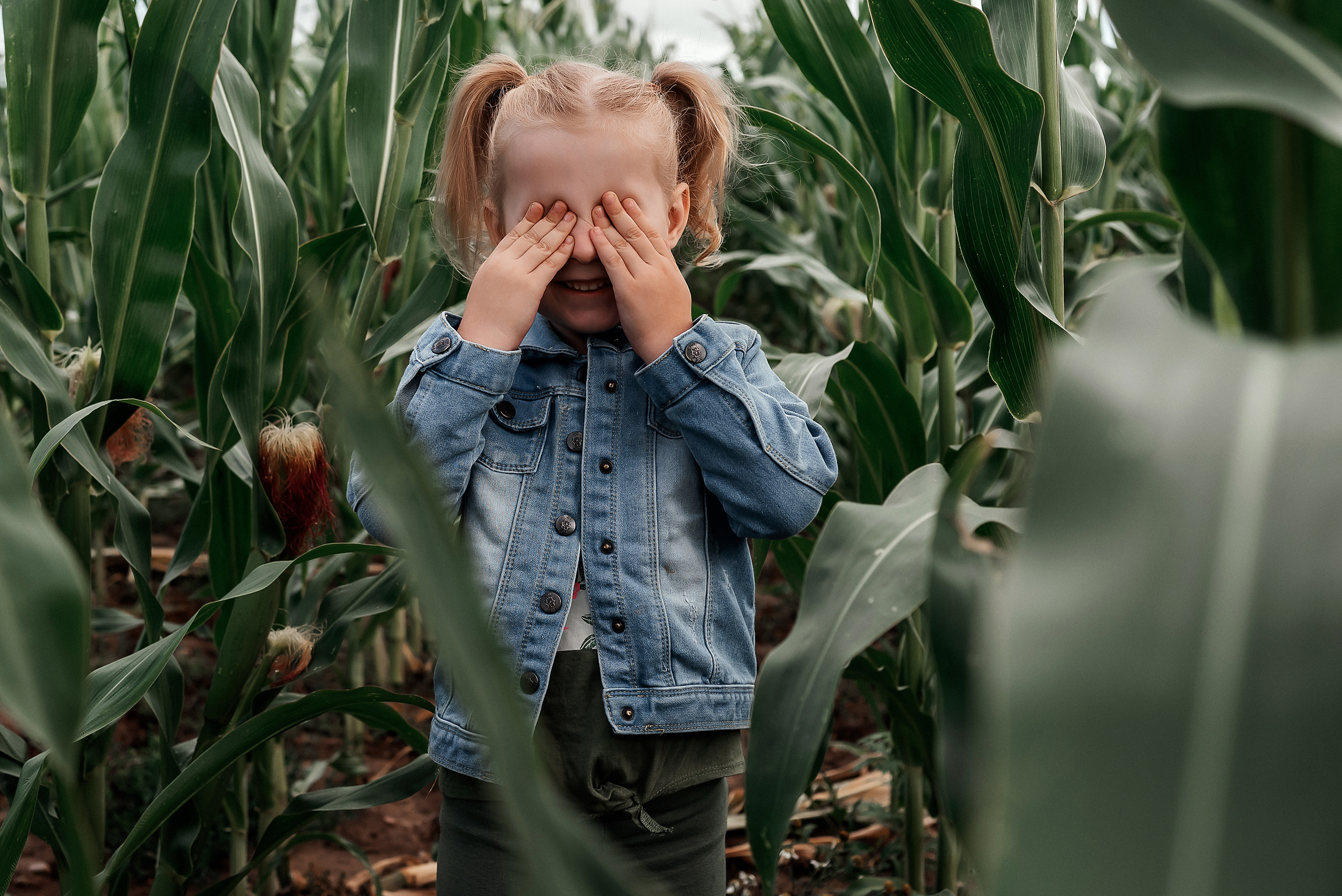 Арианна. Фотосессия в кукурузном поле. Ваш фотограф в Латгалии — Александра Юхневича!