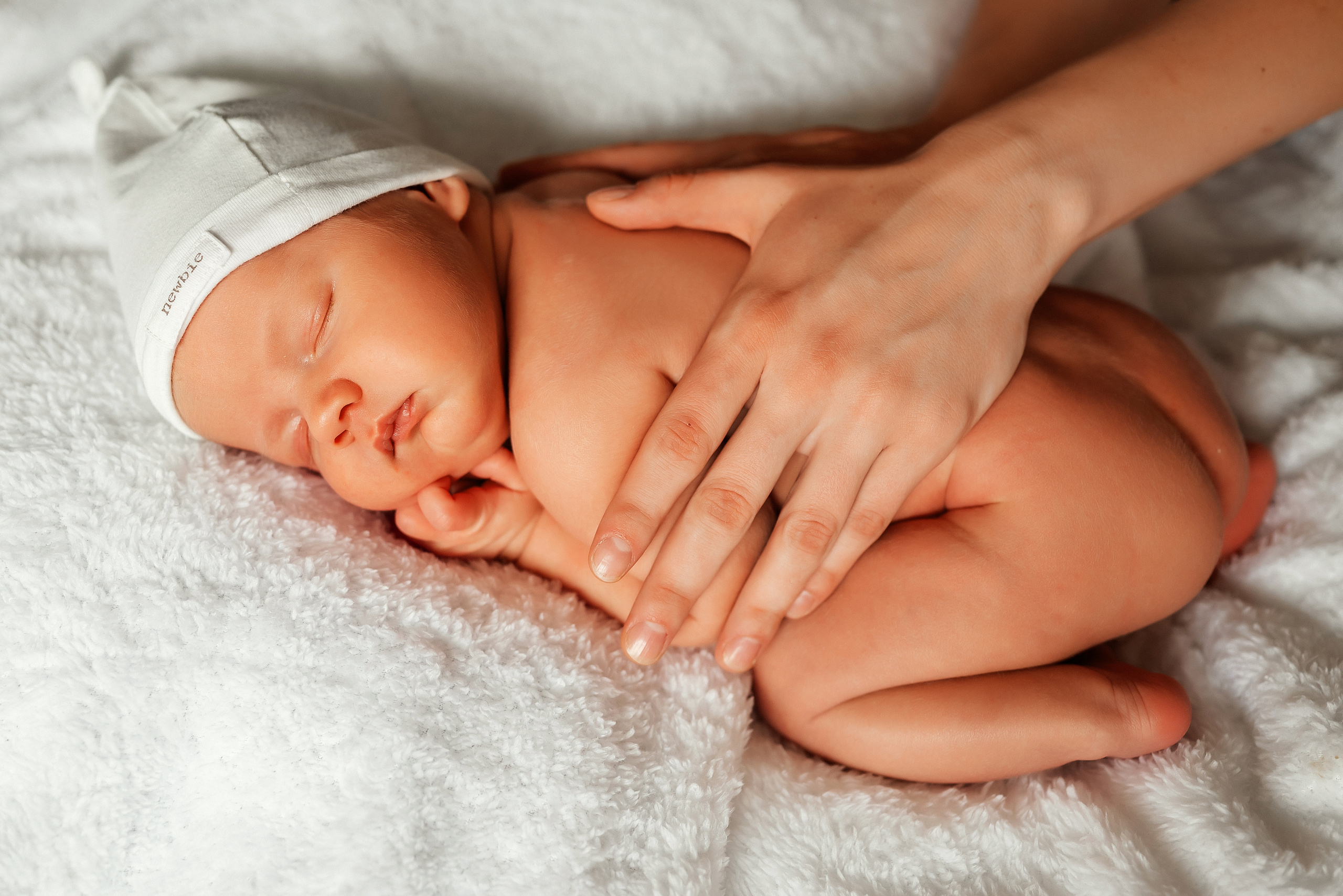 Медвежонок. Ваш фотограф в Латгалии — Александра Юхневича!