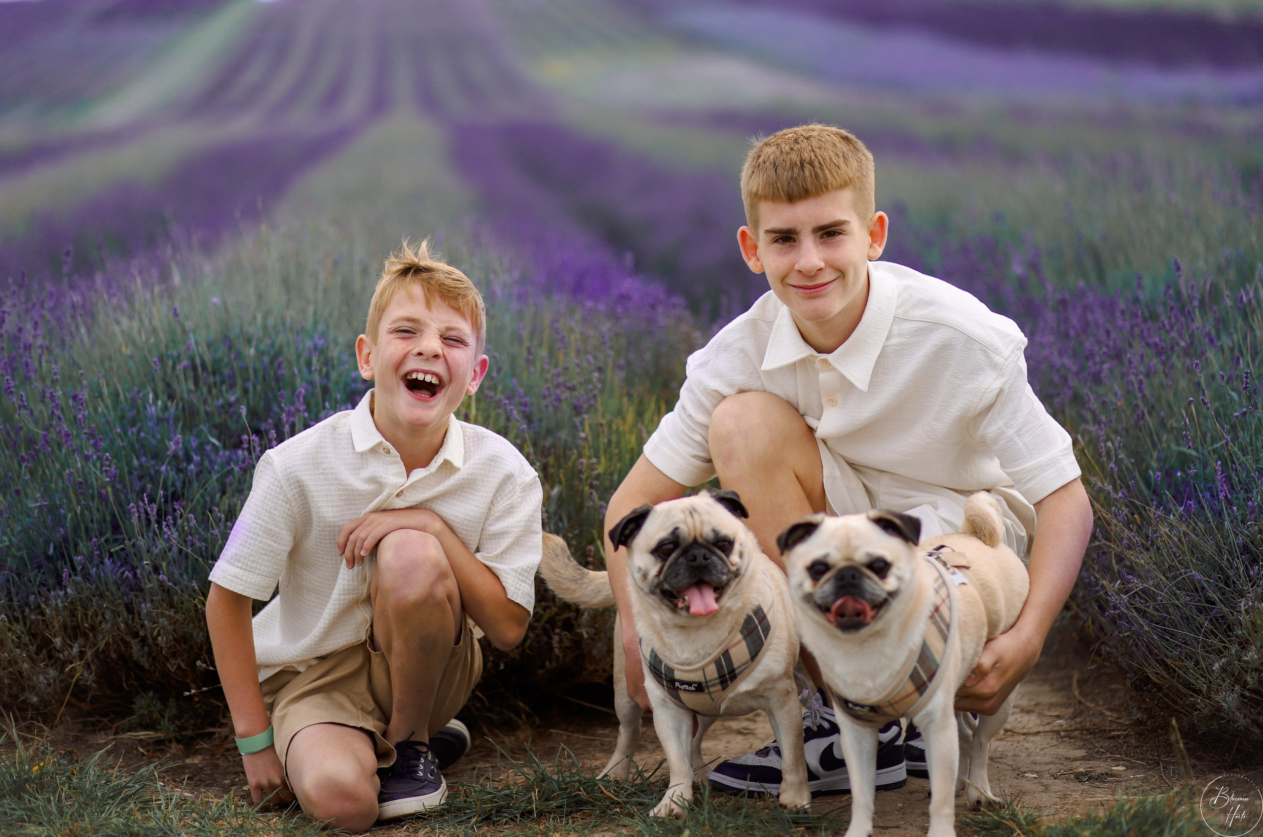 Lavender. Family & children’s photographer in Herts & West London Iryna Blair