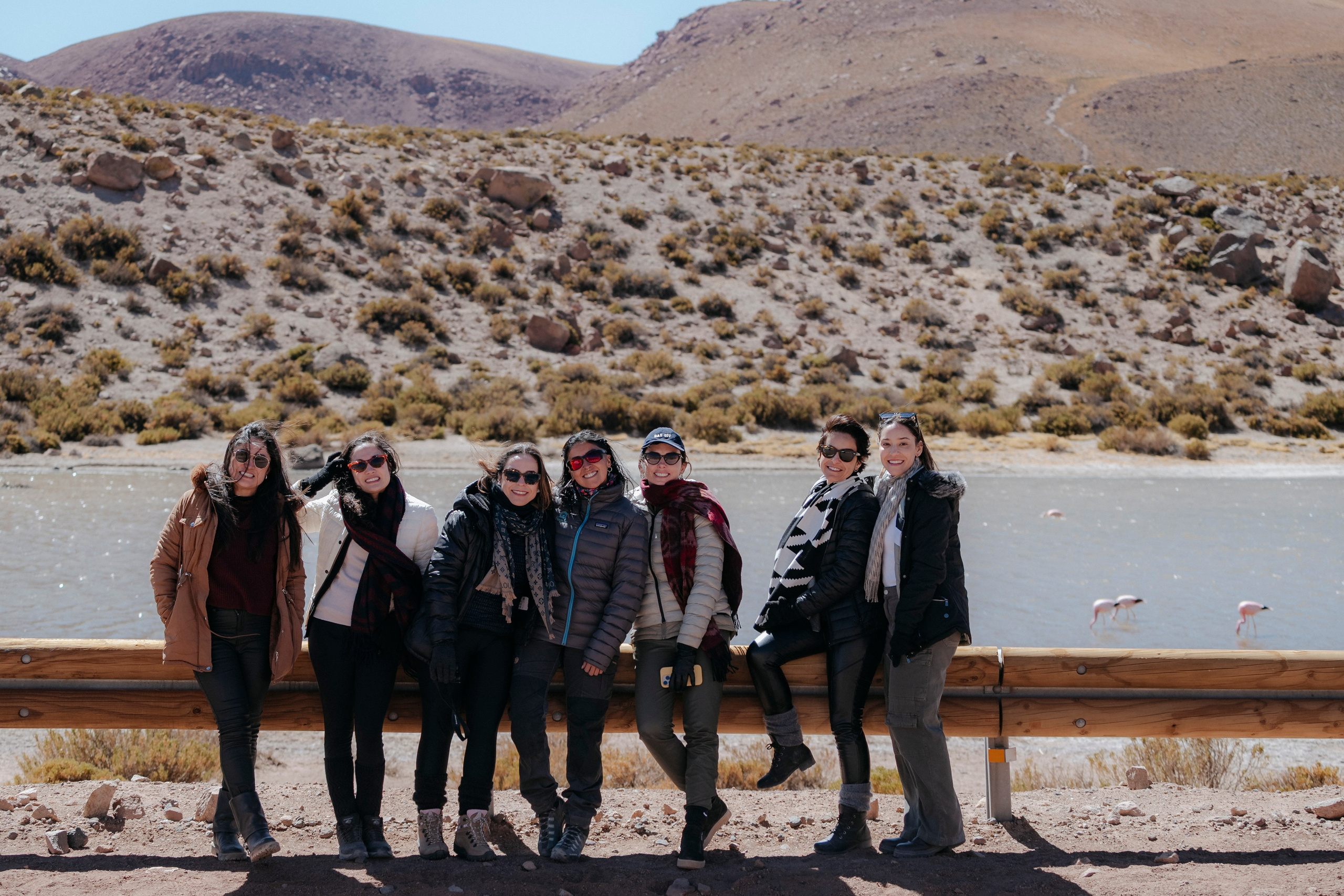 Geyser El Tatio (cobertura en tour privado). Principal