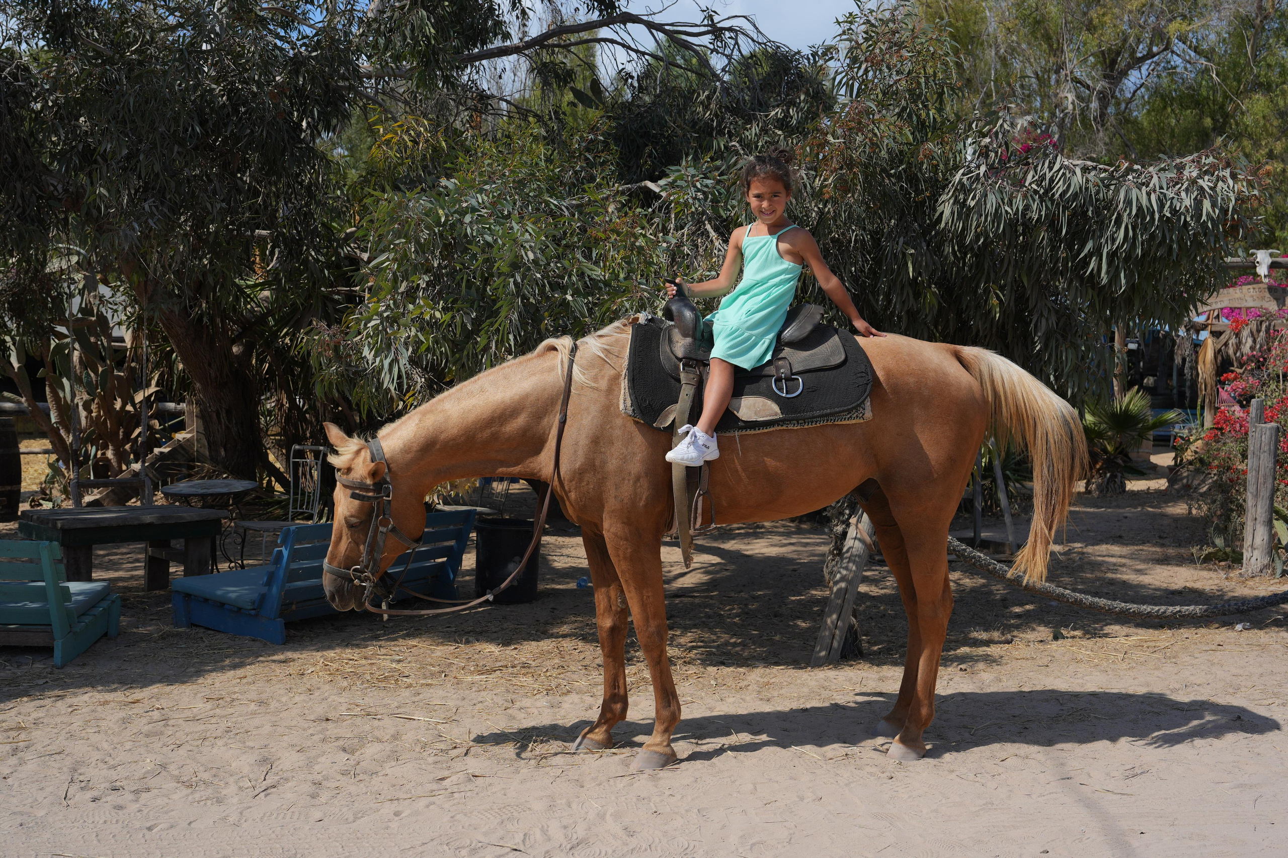 Gabriella. MDVD Фото-видео съемка мероприятий