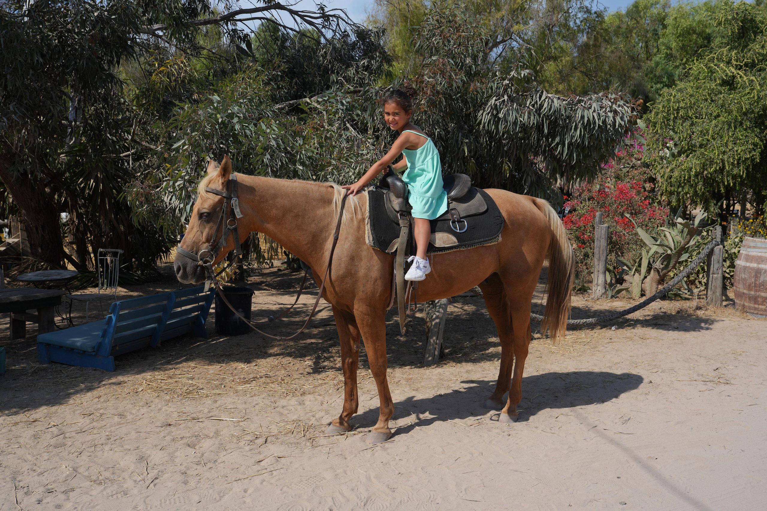 Gabriella. MDVD Фото-видео съемка мероприятий