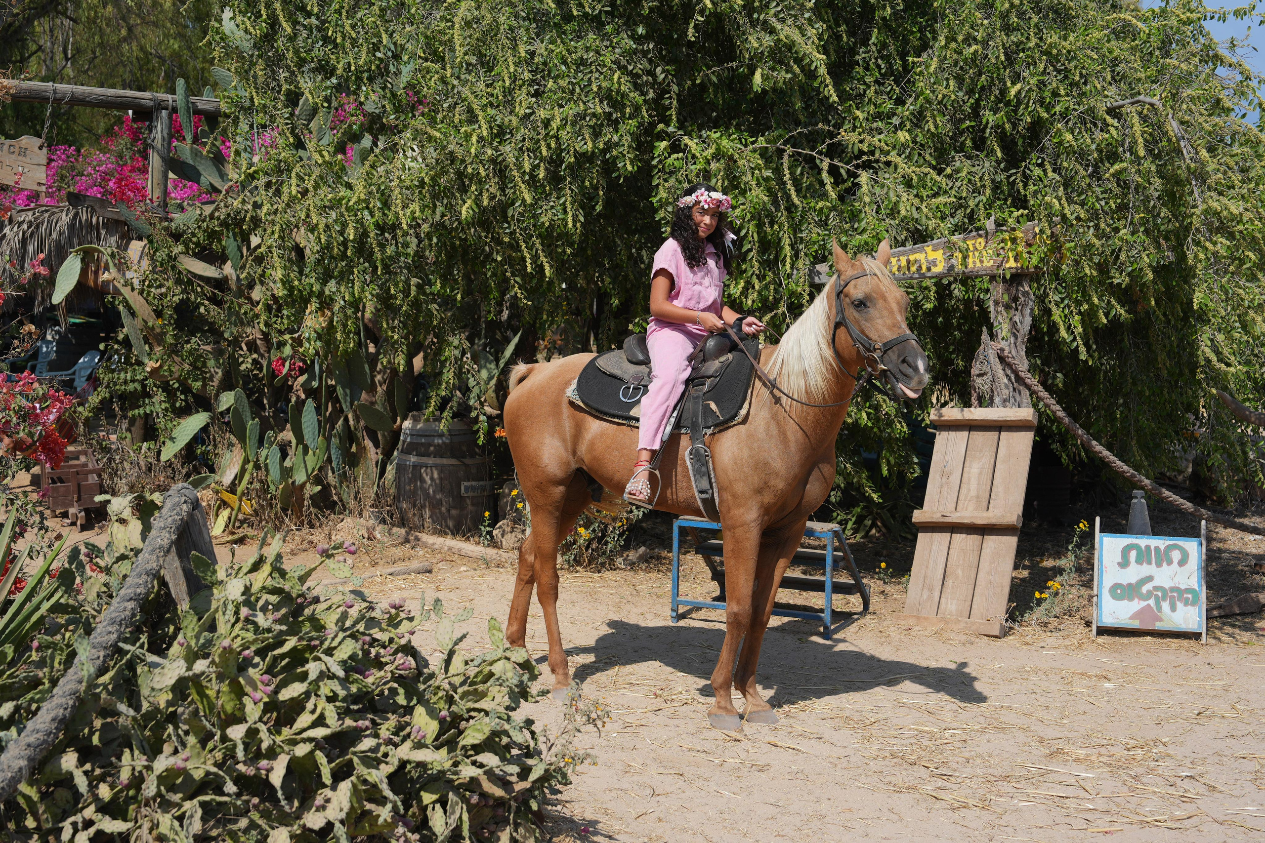 Gabriella. MDVD Фото-видео съемка мероприятий