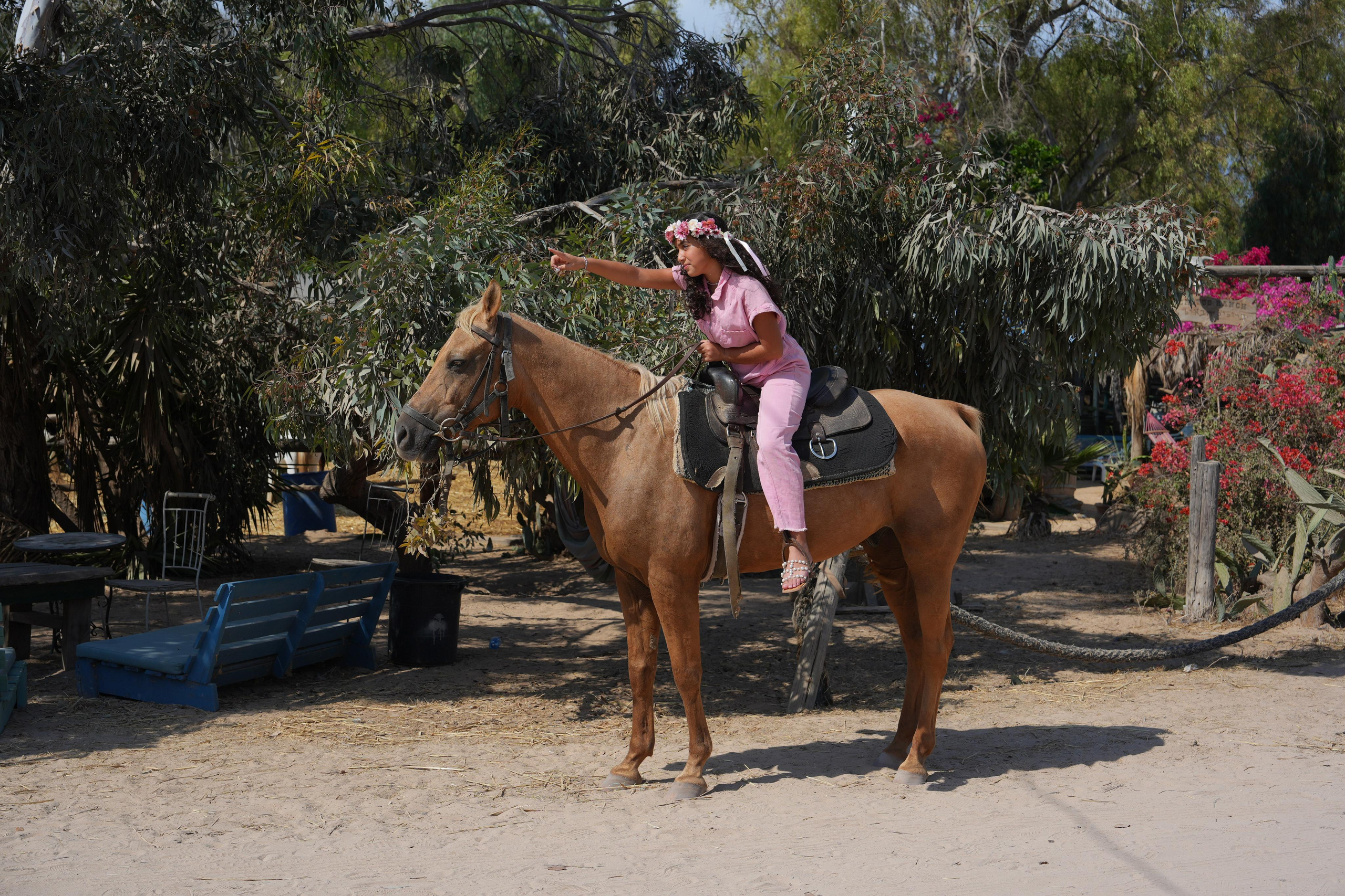 Gabriella. MDVD Фото-видео съемка мероприятий