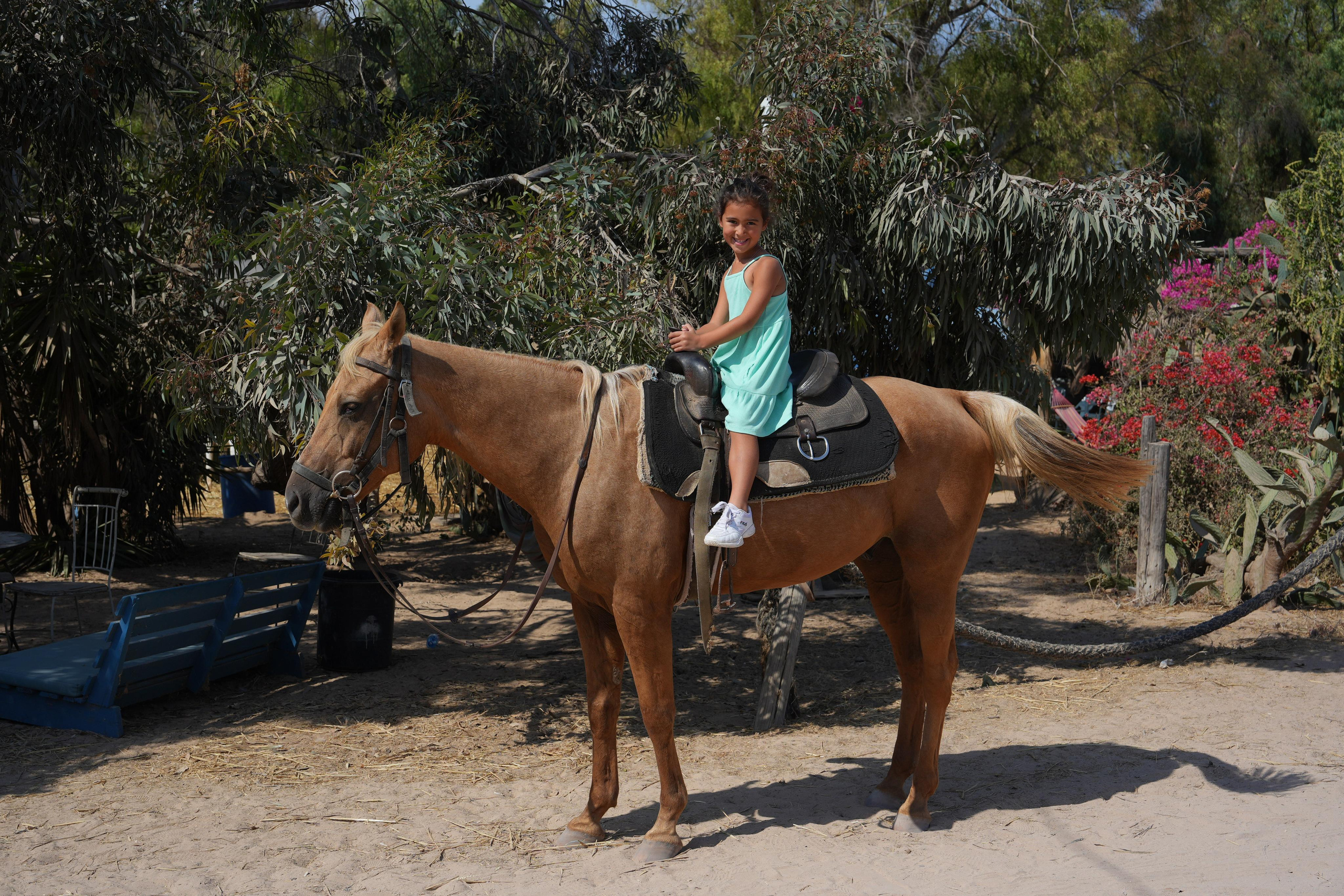 Gabriella. MDVD Фото-видео съемка мероприятий