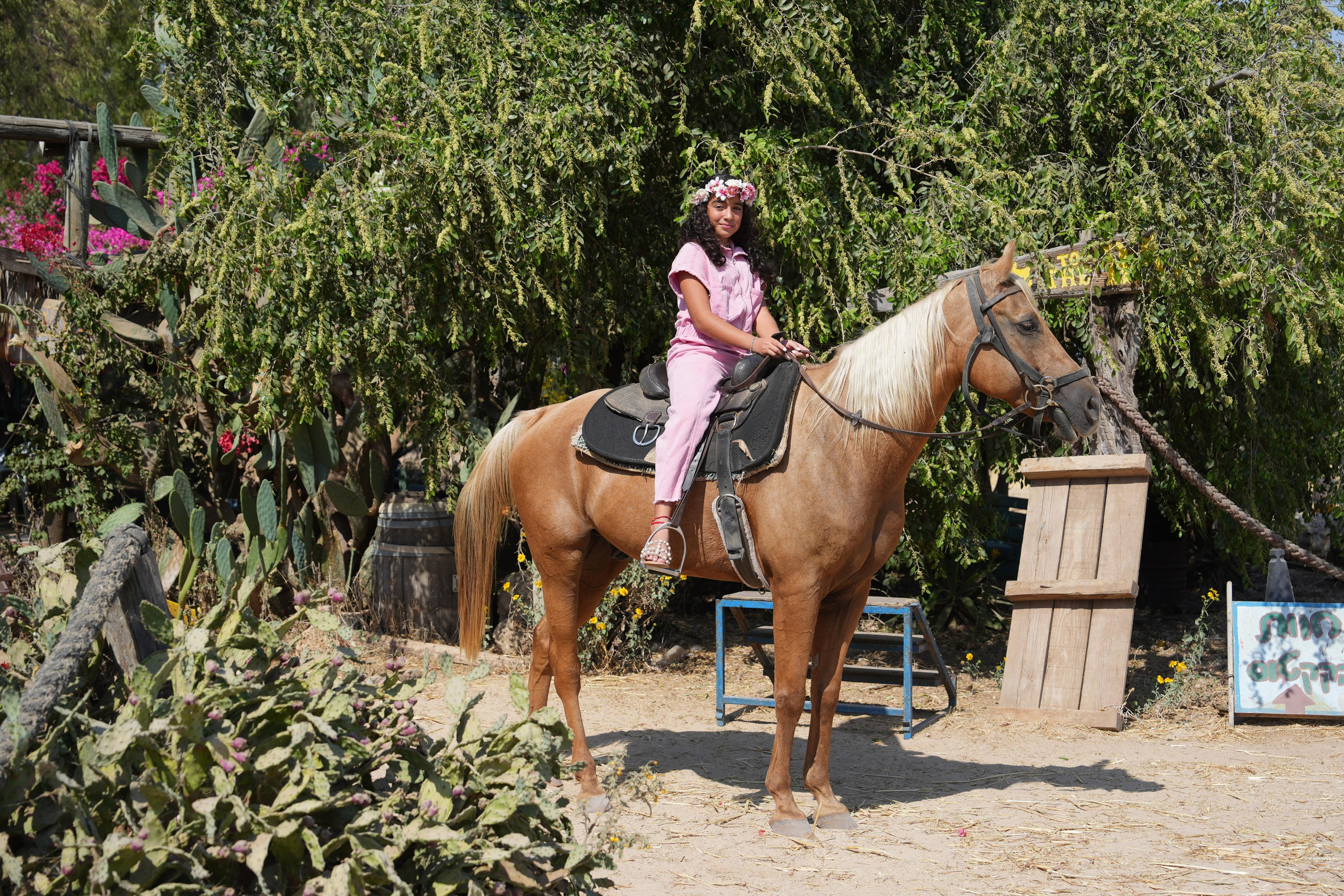 Gabriella. MDVD Фото-видео съемка мероприятий