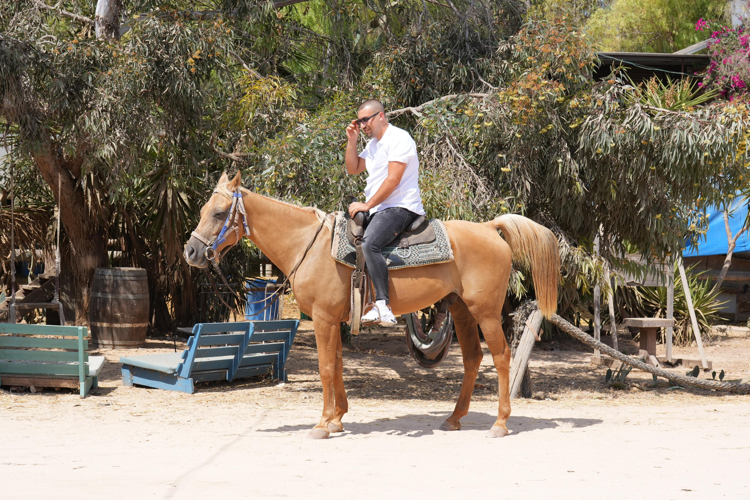 14.11.2022. MDVD Events photographysv in israel