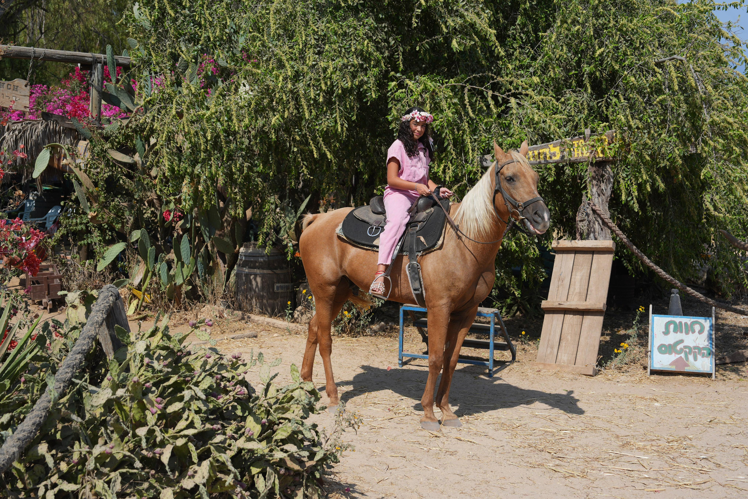 Gabriella. MDVD Фото-видео съемка мероприятий