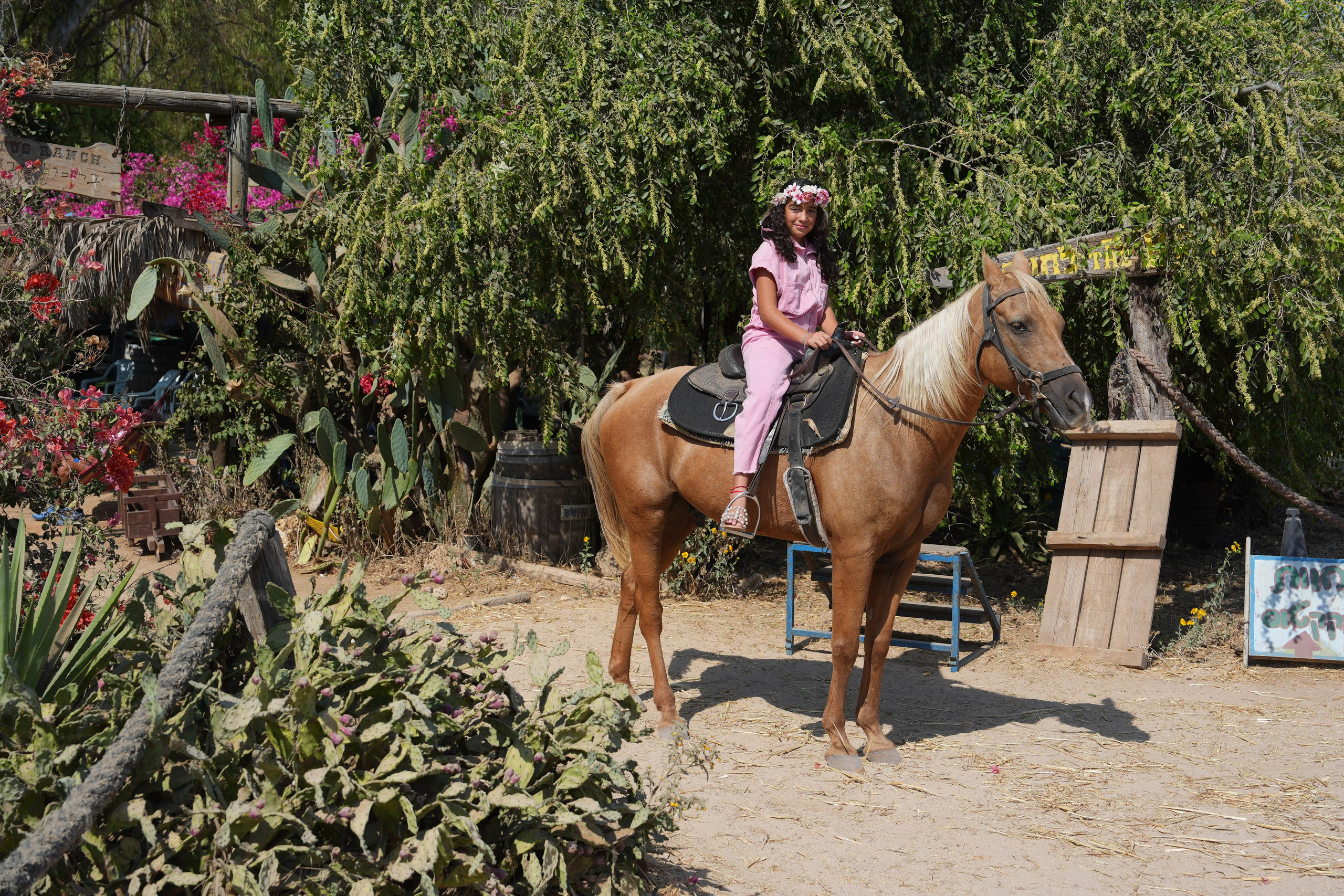 Gabriella. MDVD Фото-видео съемка мероприятий