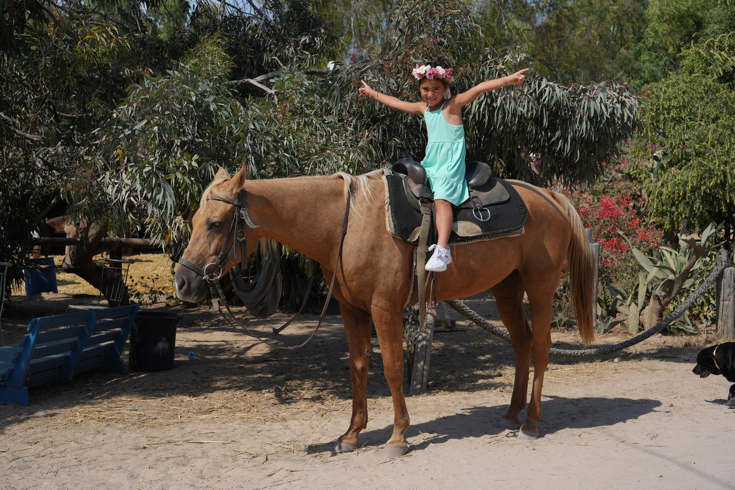 Gabriella. MDVD Фото-видео съемка мероприятий