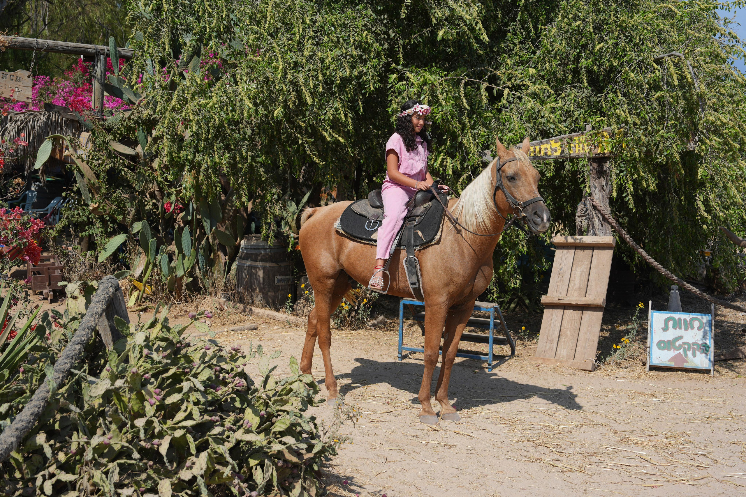 Gabriella. MDVD Фото-видео съемка мероприятий