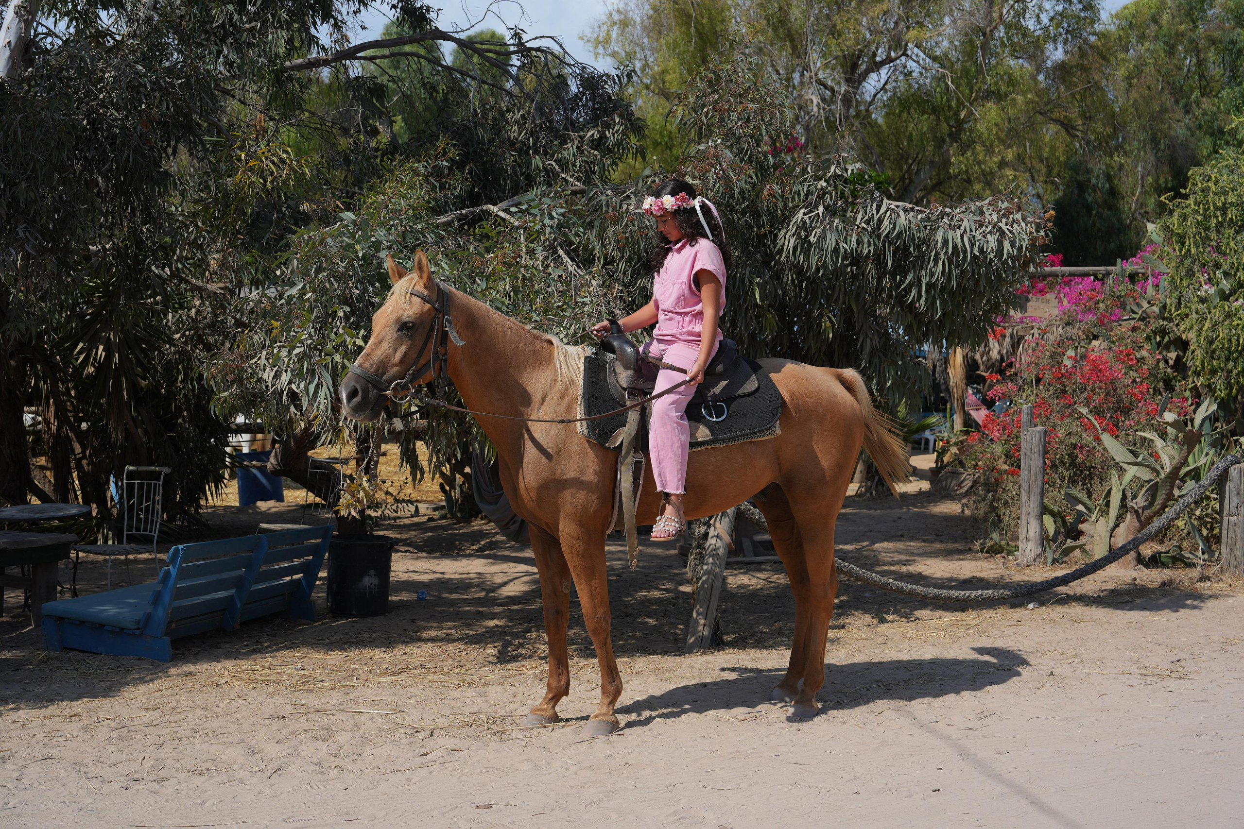 Gabriella. MDVD Фото-видео съемка мероприятий