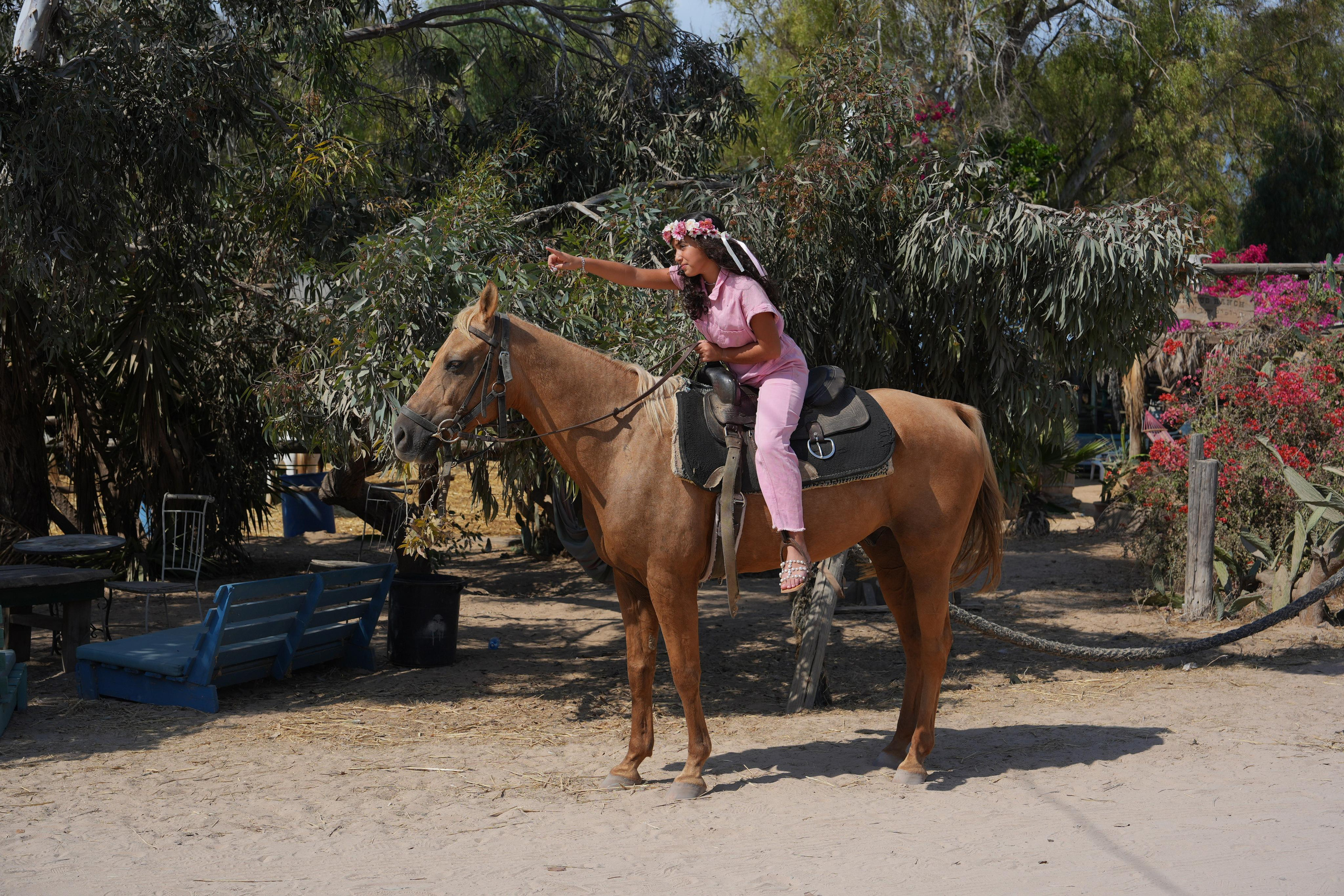Gabriella. MDVD Фото-видео съемка мероприятий