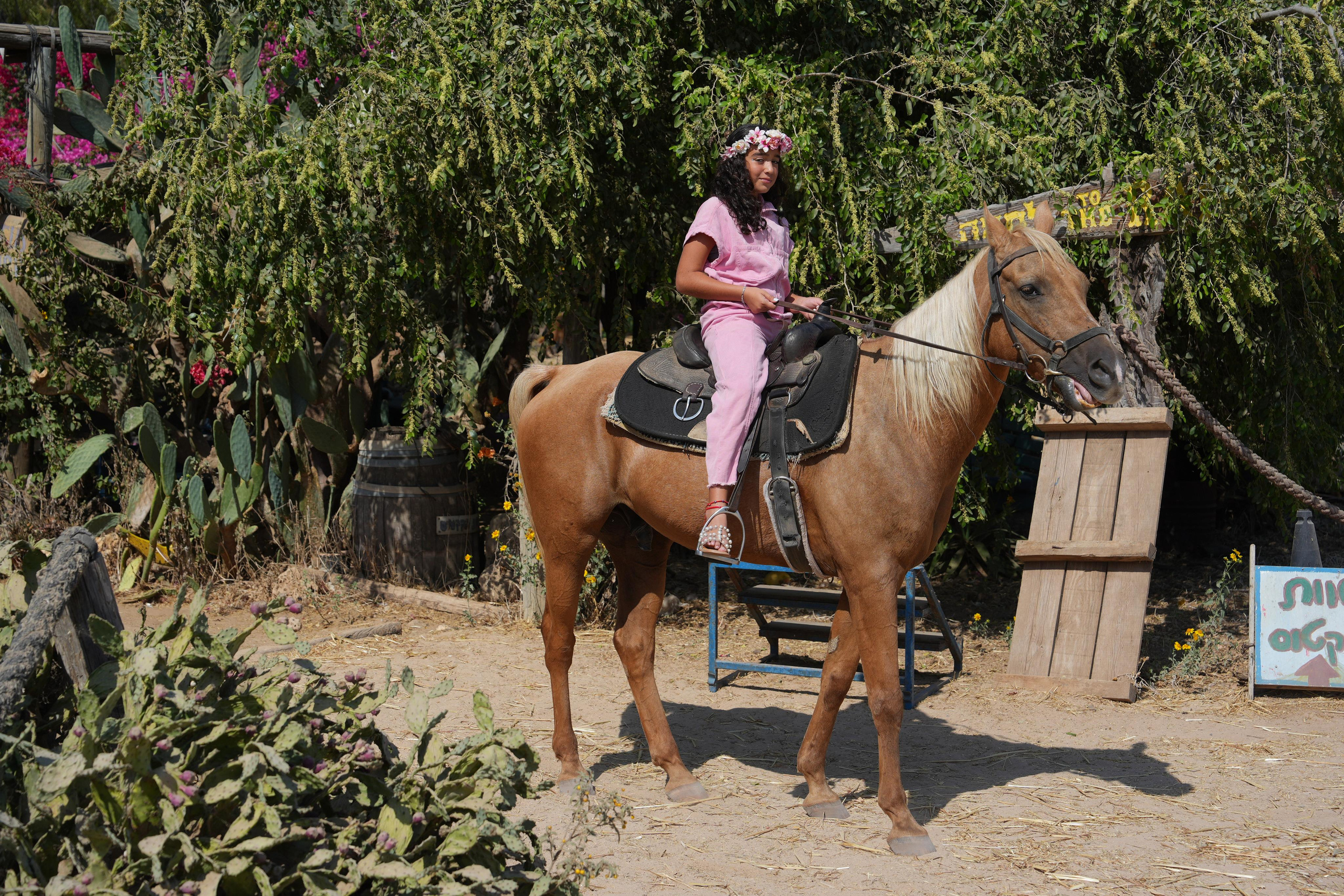 Gabriella. MDVD Фото-видео съемка мероприятий