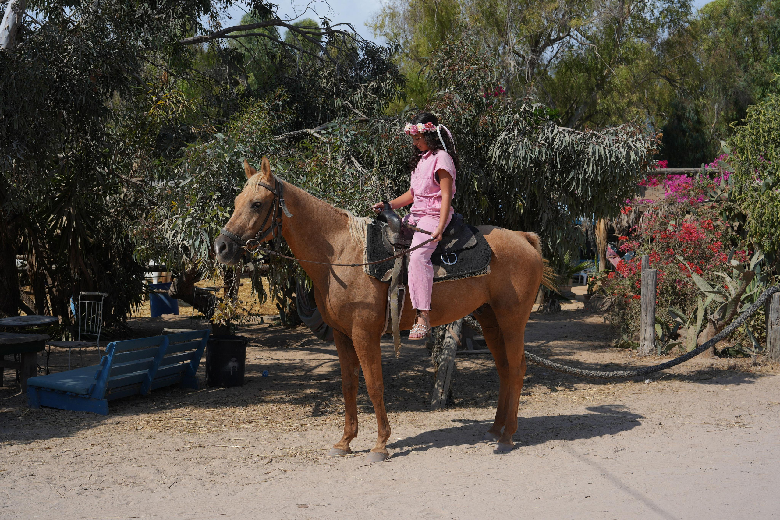 Gabriella. MDVD Фото-видео съемка мероприятий