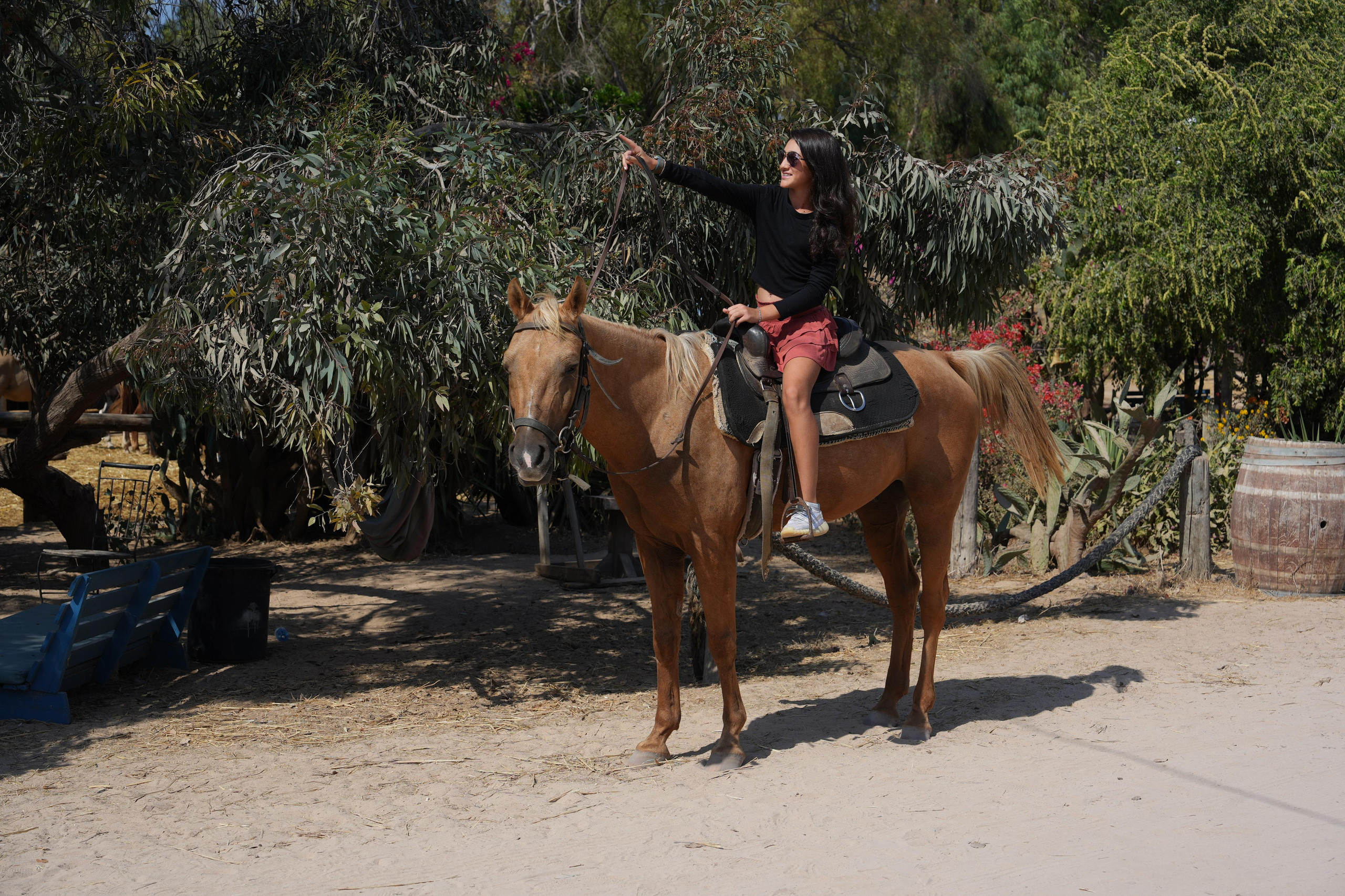 Gabriella. MDVD Фото-видео съемка мероприятий