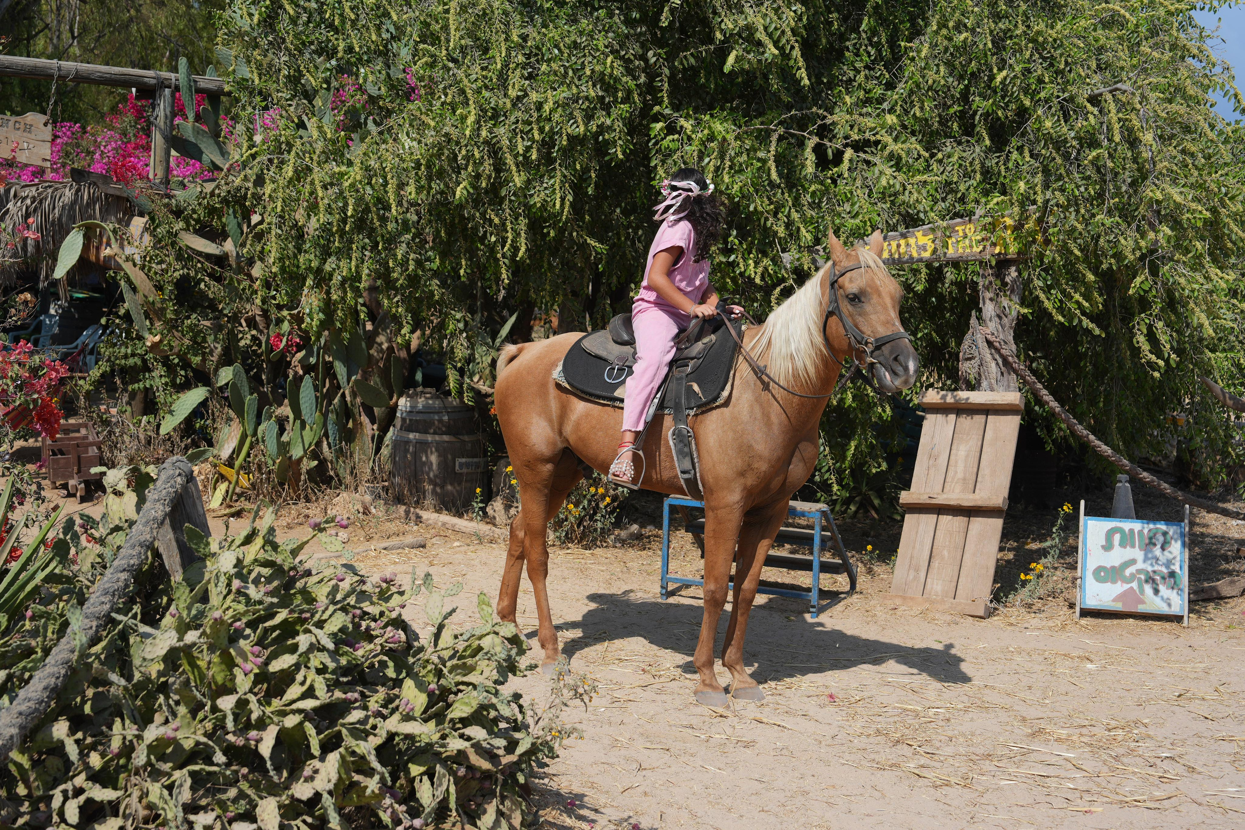 Gabriella. MDVD Фото-видео съемка мероприятий