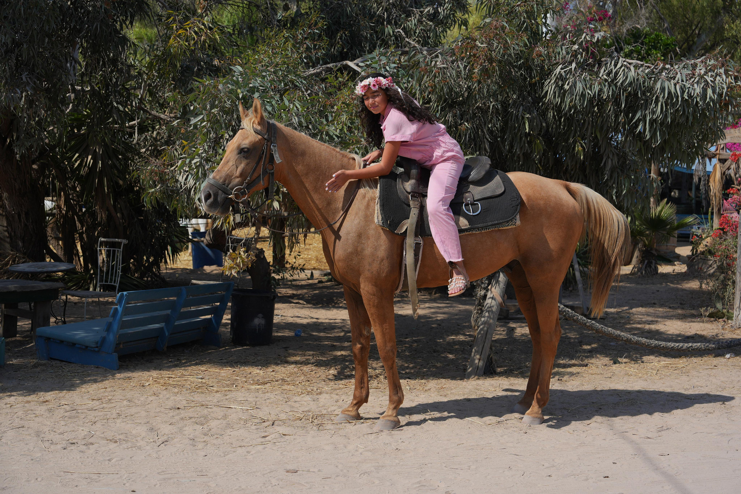 Gabriella. MDVD Фото-видео съемка мероприятий